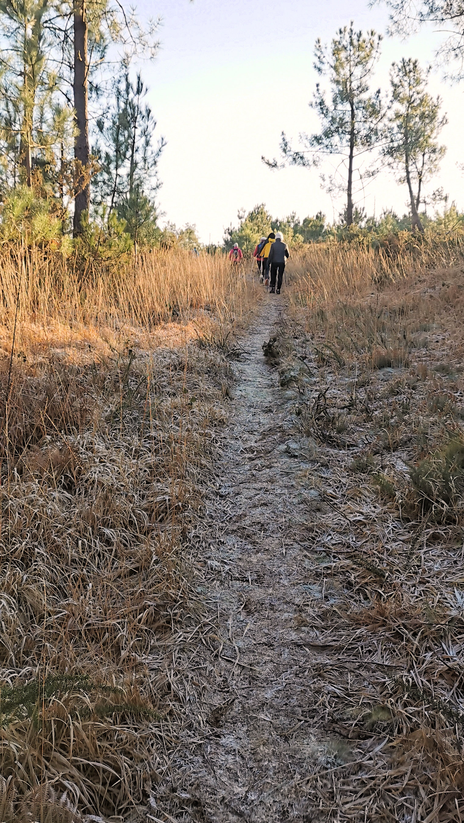 084-IMG_20210110_105112