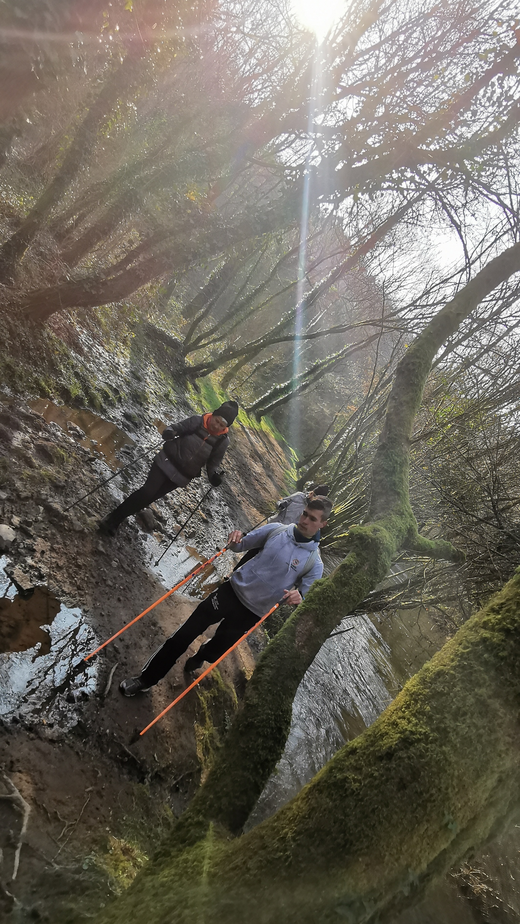 33-IMG_20210306_105233_1