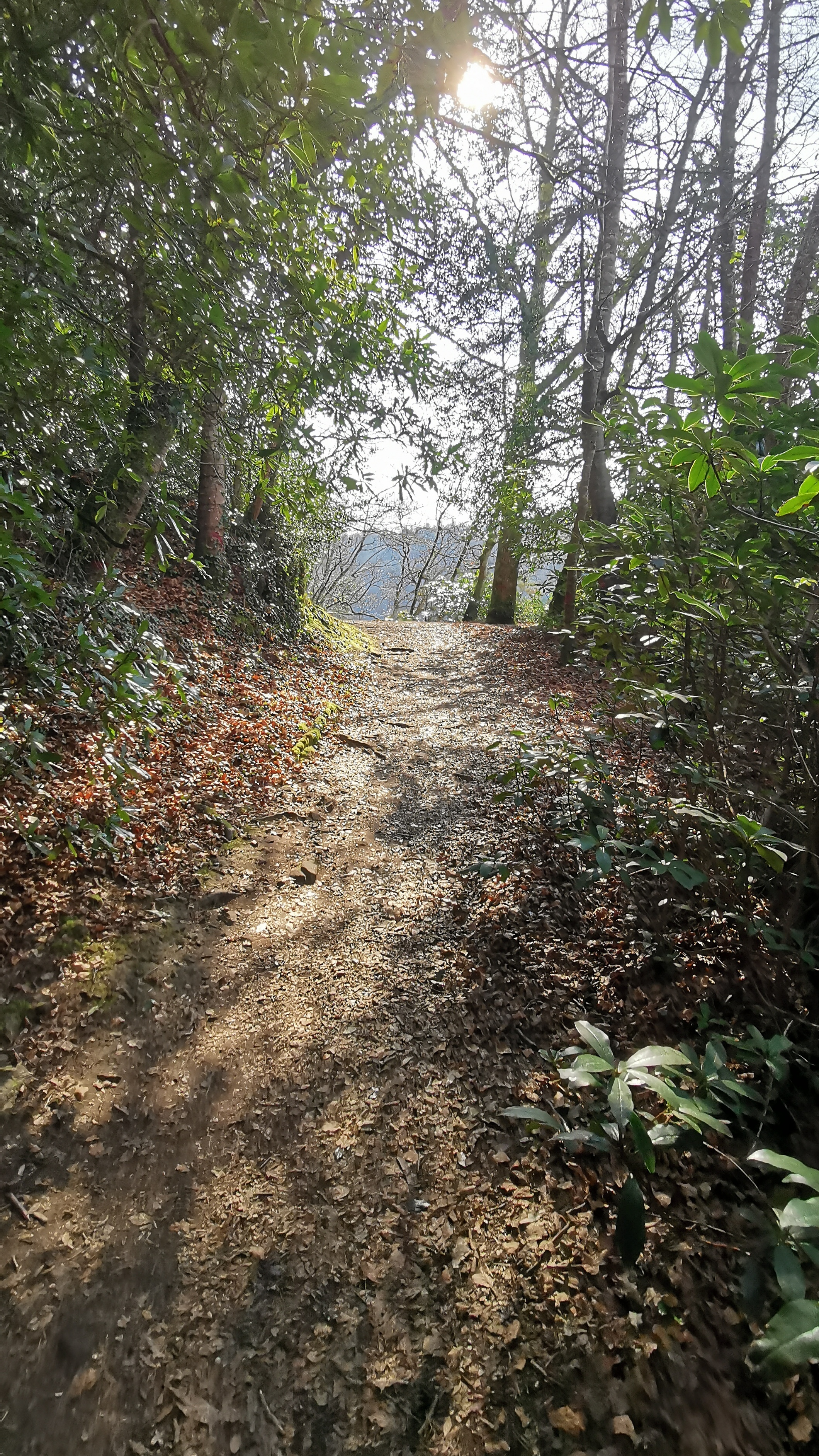 67-IMG_20210308_113539