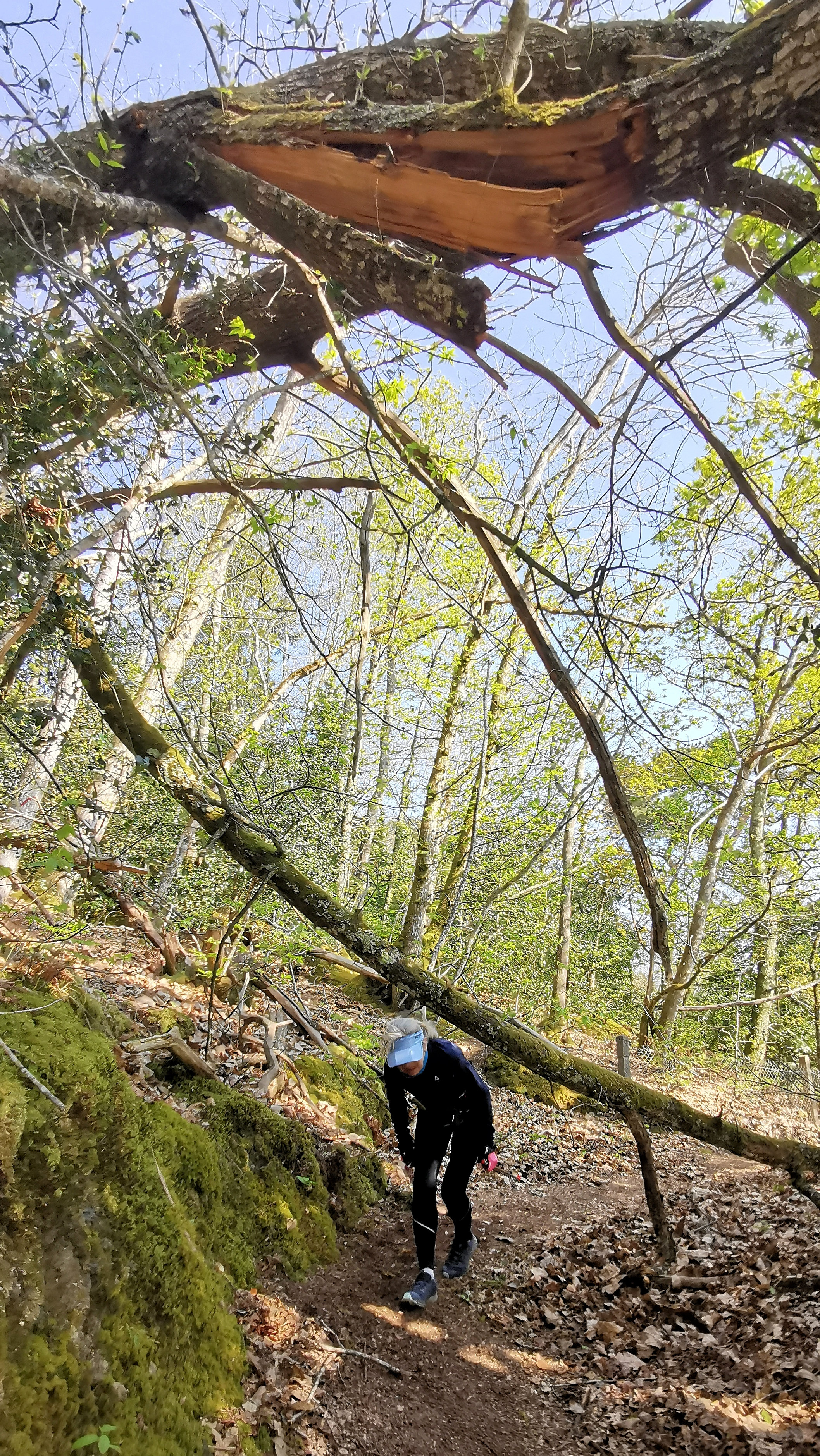 14-IMG_20210422_103248