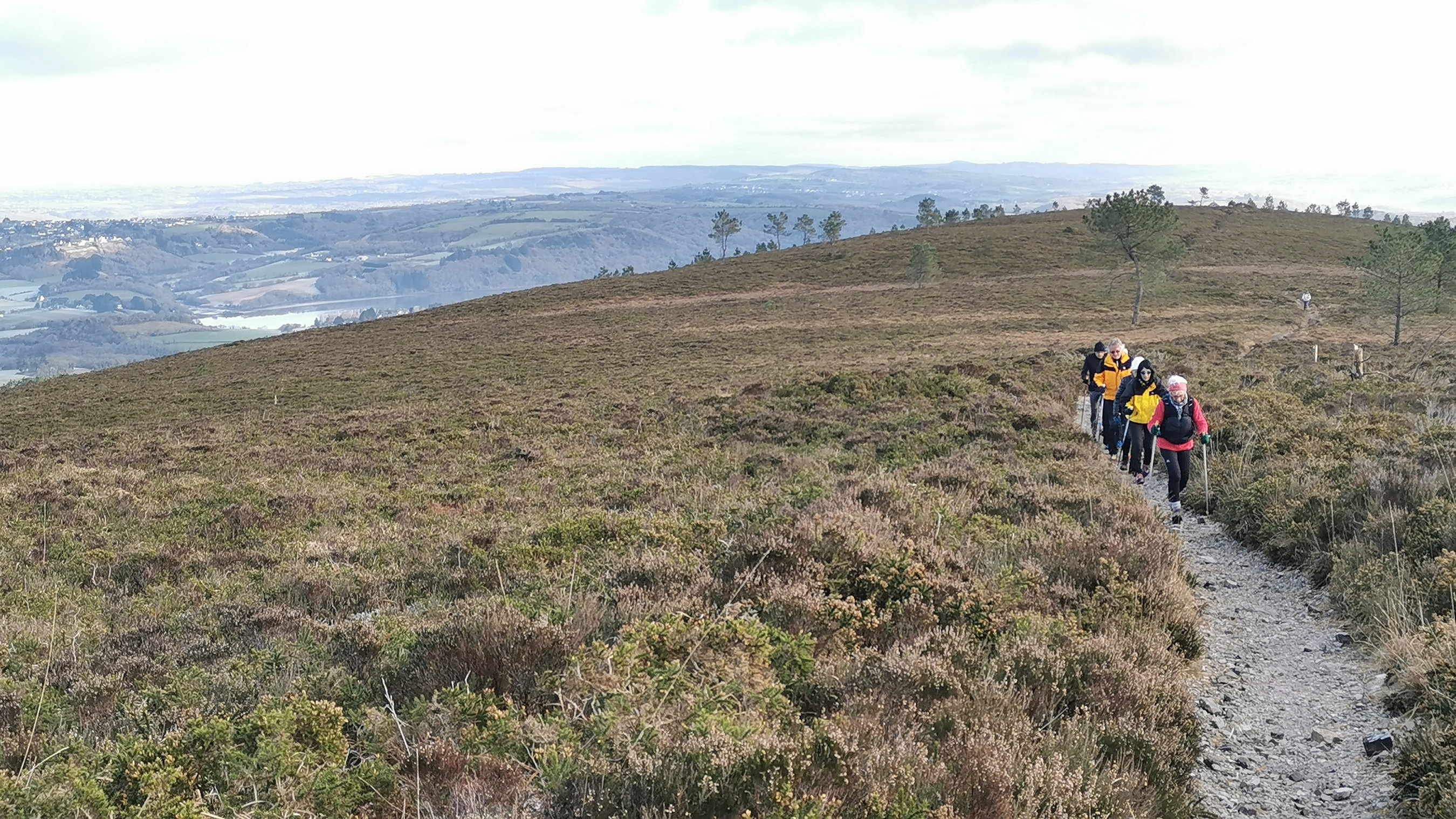 108-IMG_20210110_110735