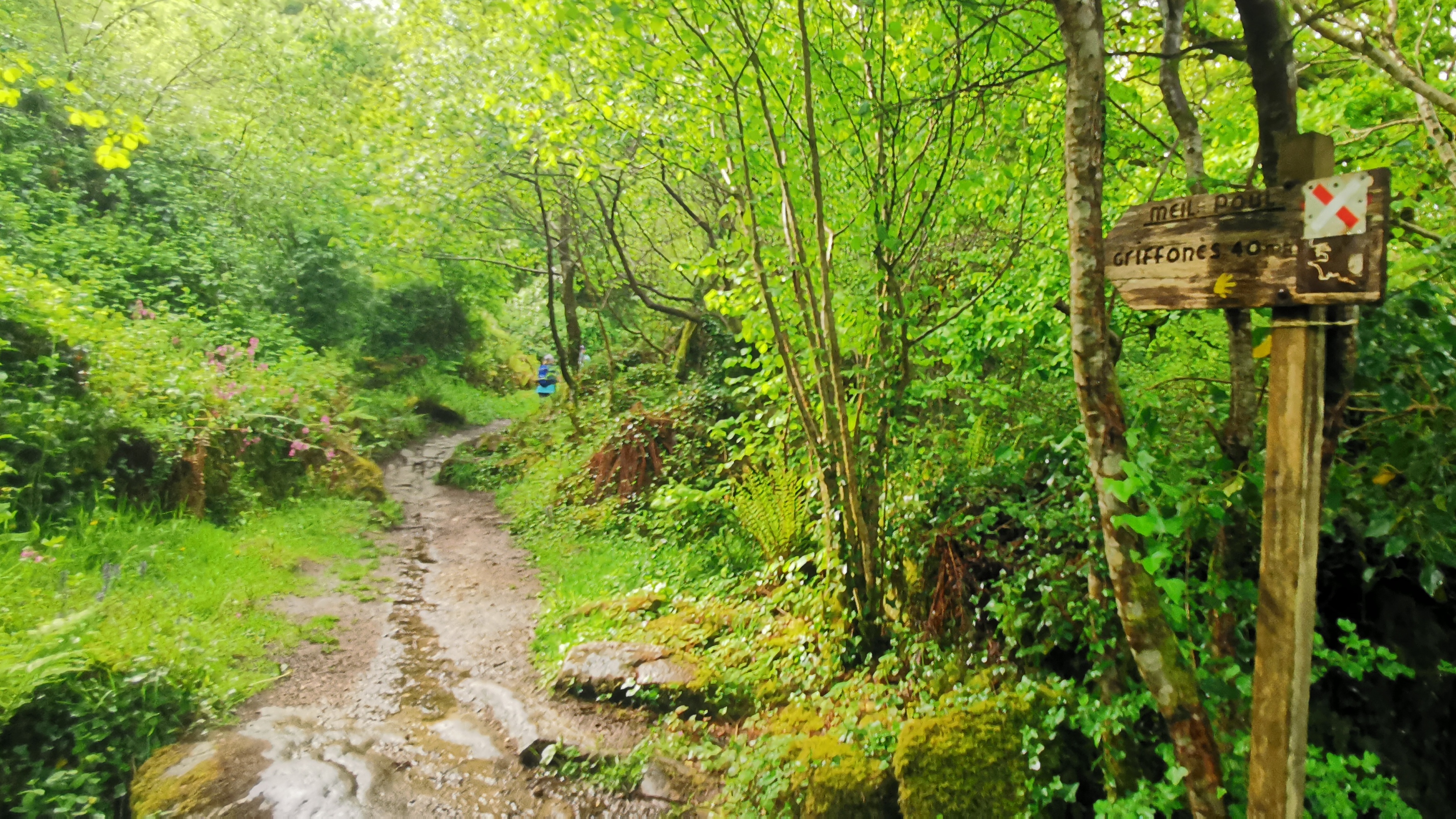 057-IMG_20210513_103205