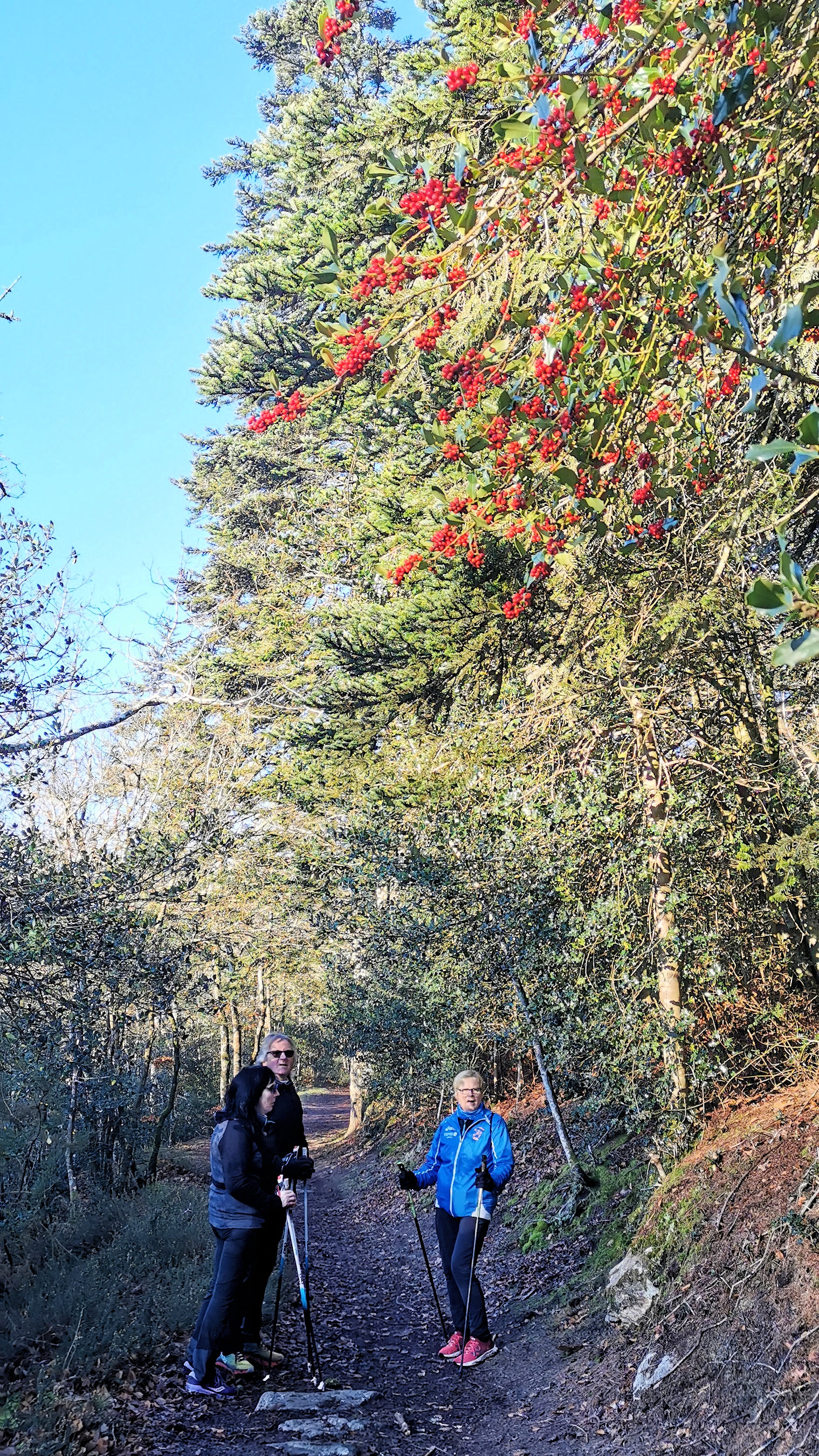 34-IMG_20210109_105150