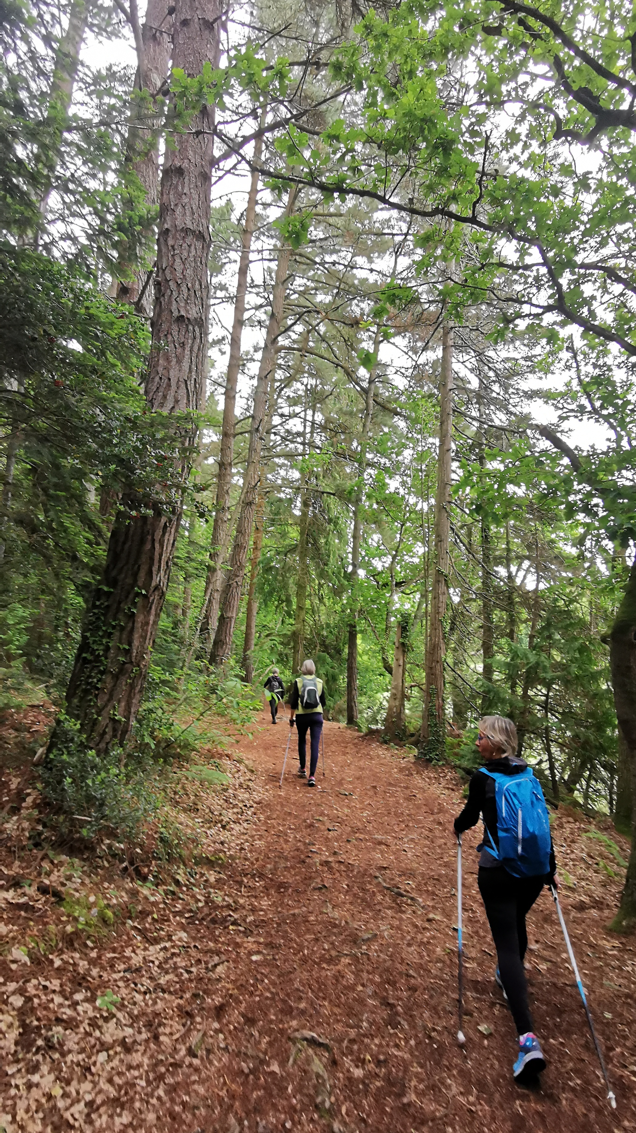 09-IMG_20210527_095622