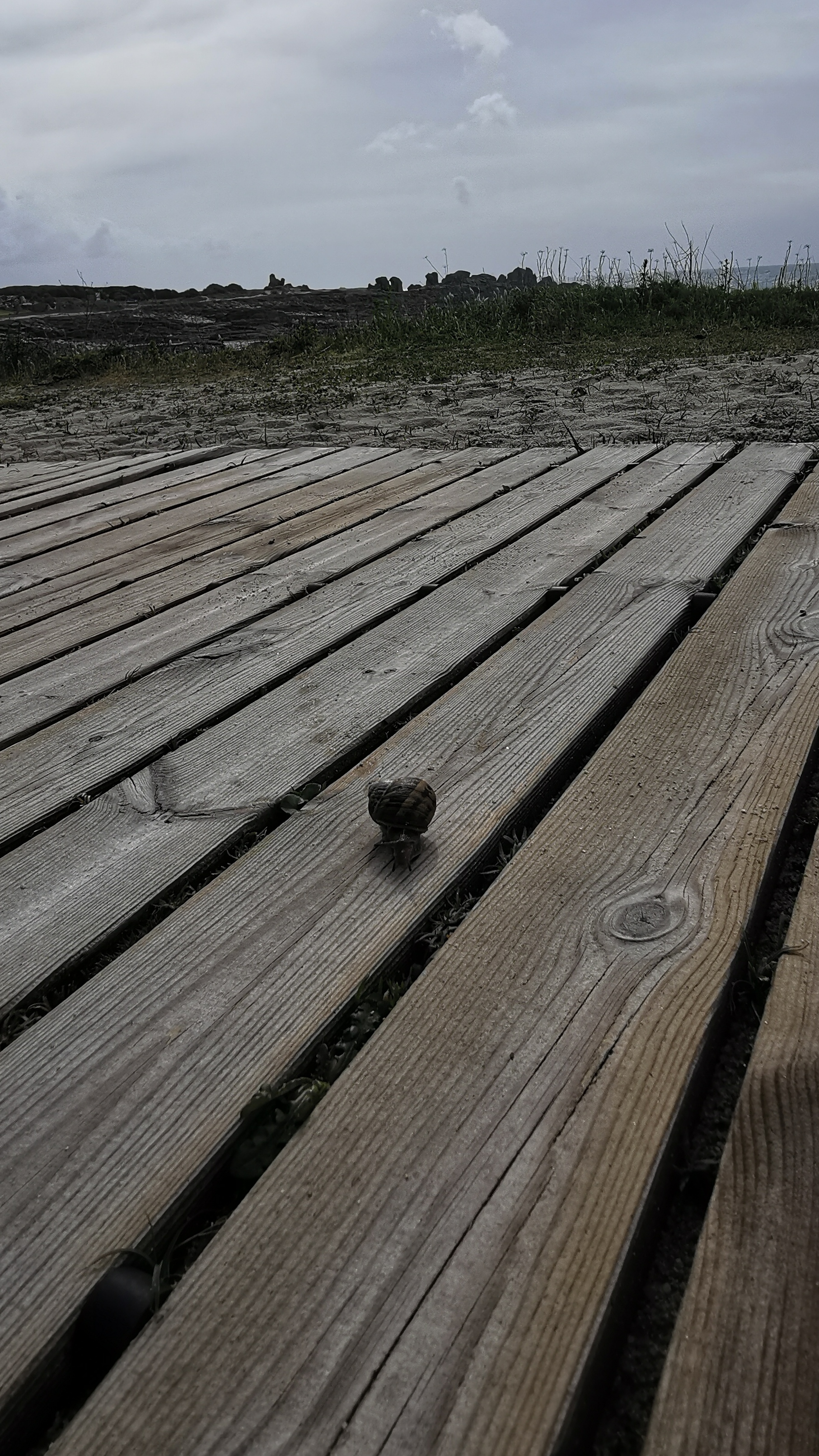 027-IMG_20210506_103248