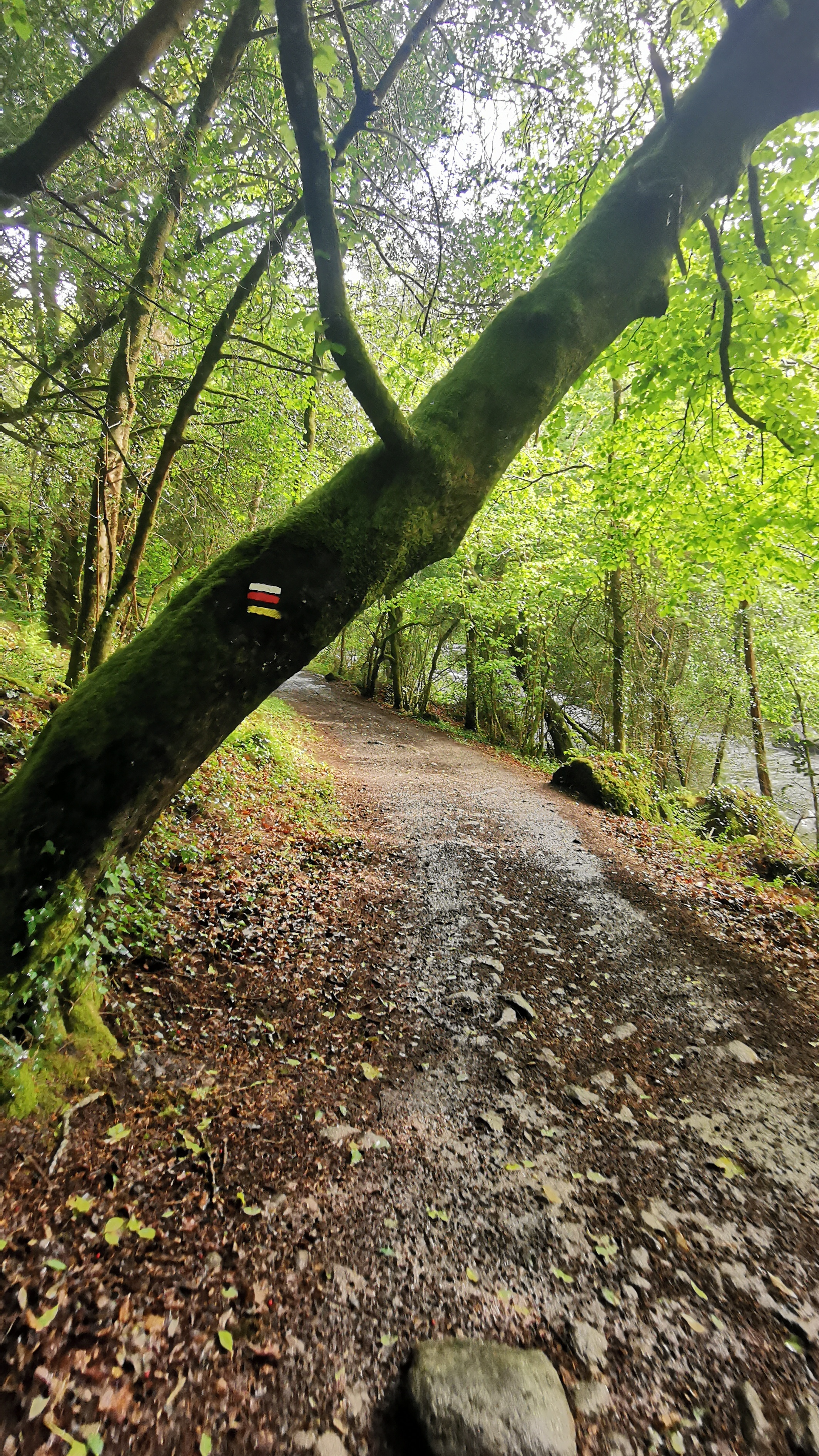 030-IMG_20210513_101508