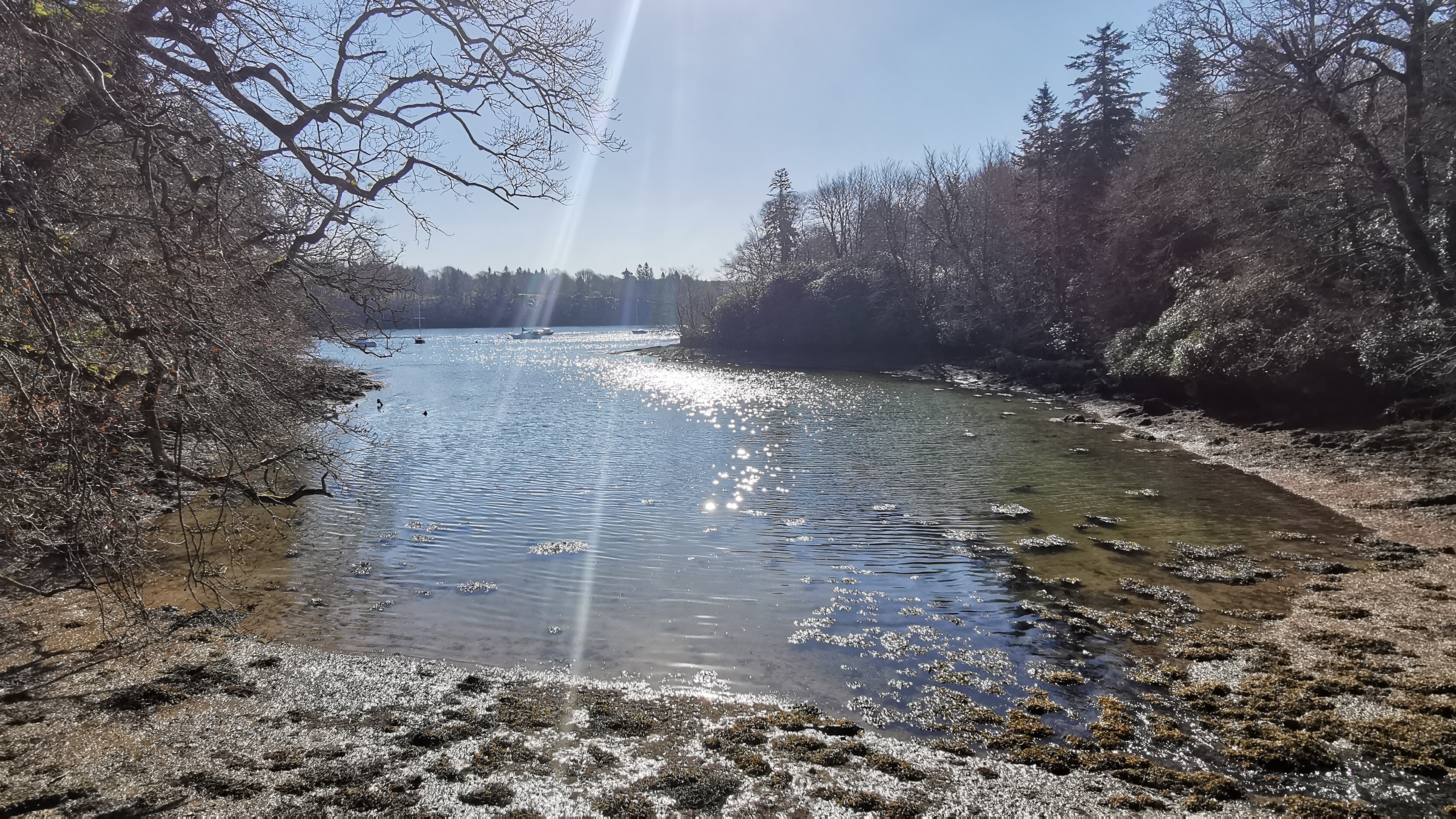 21-IMG_20210320_104538