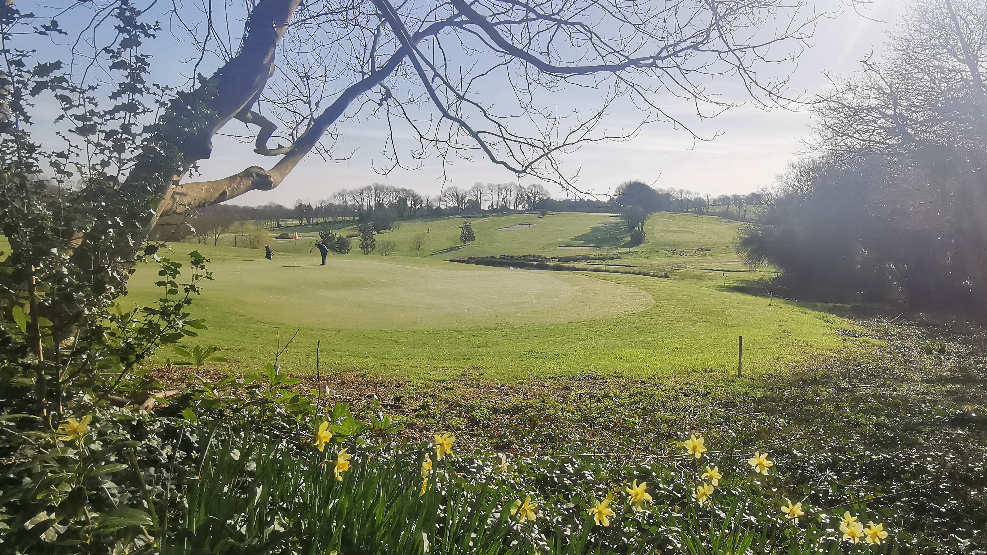 20-IMG_20210318_100550