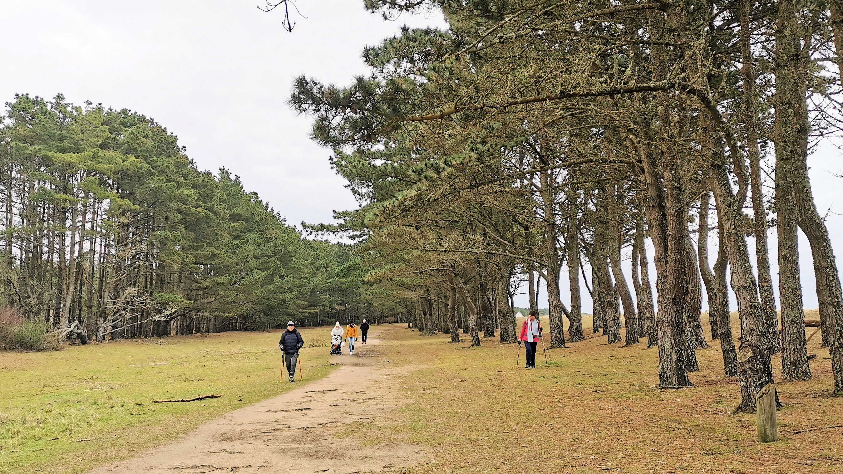 26-IMG_20210208_120053