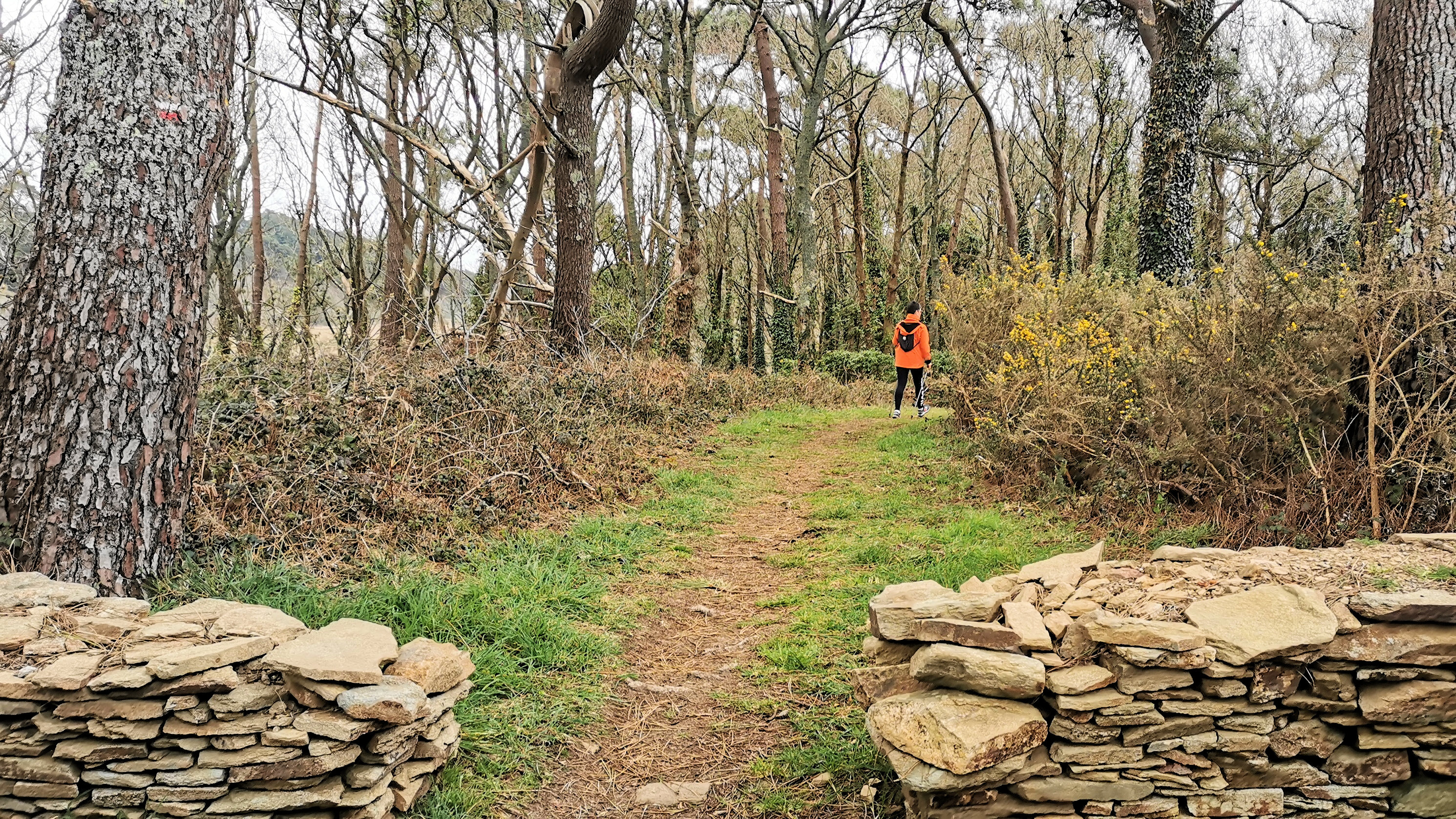 23-IMG_20210321_100624