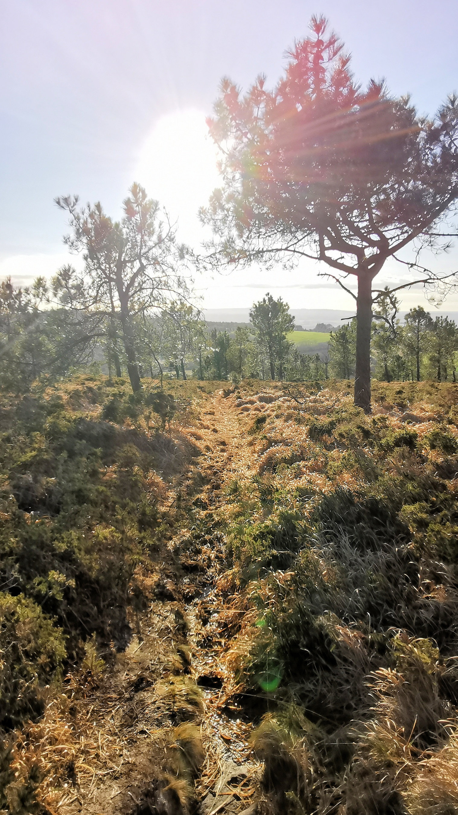 145-IMG_20210110_113624