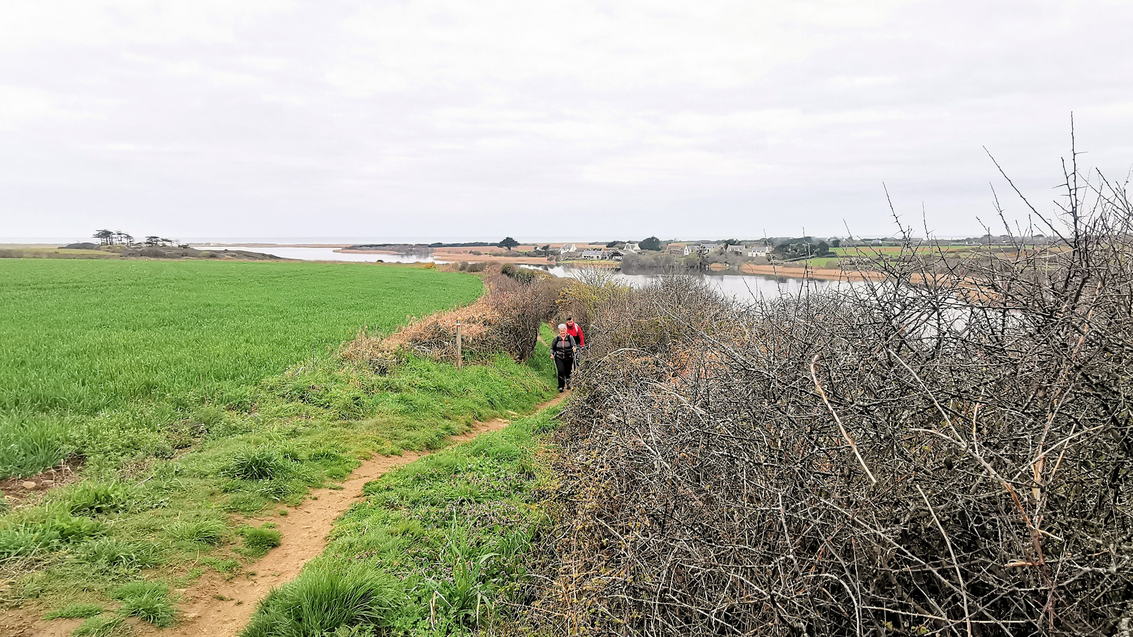 19-IMG_20210321_100241