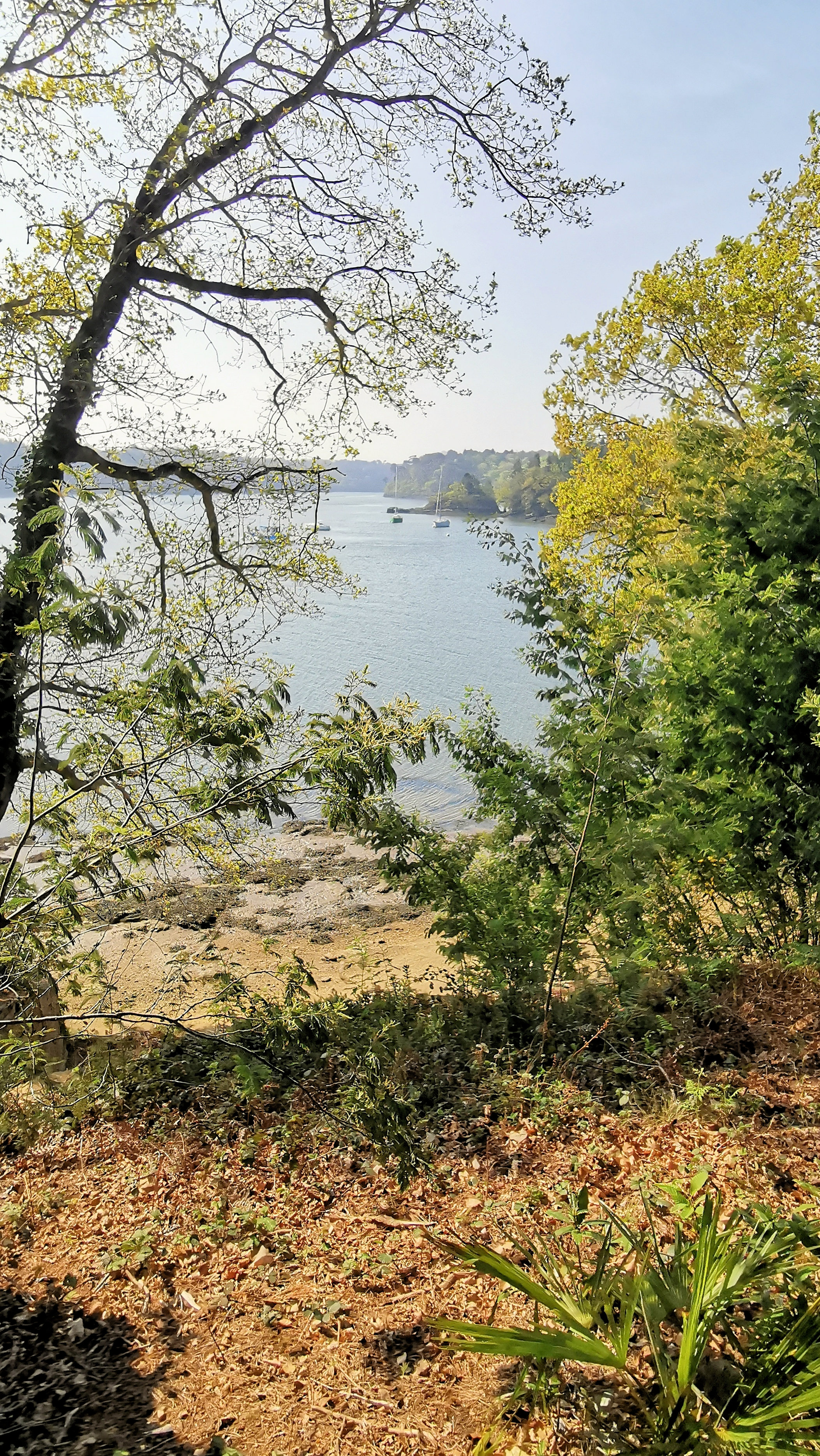 59-IMG_20210422_111511