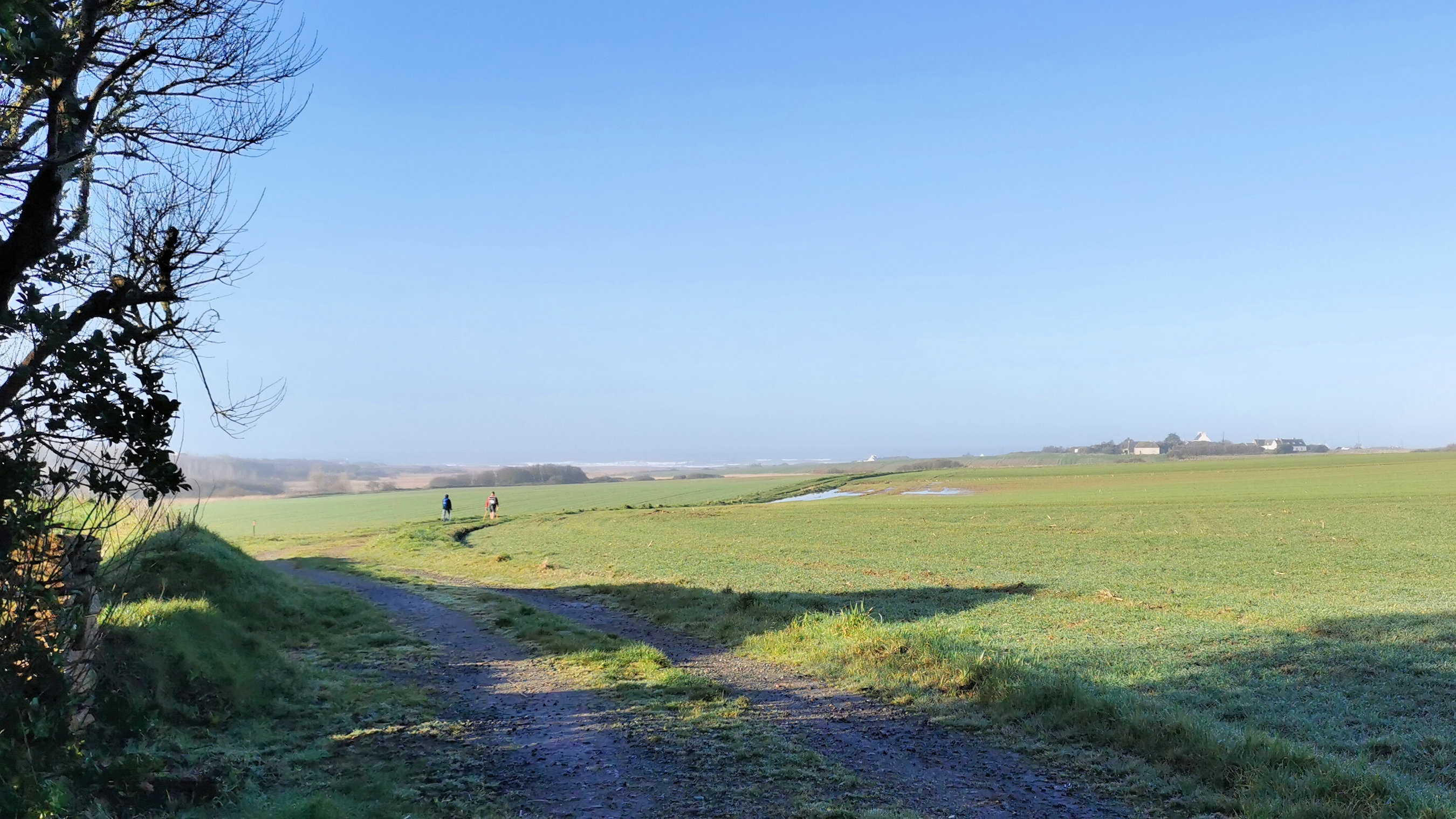 007-IMG_20210222_100448_1