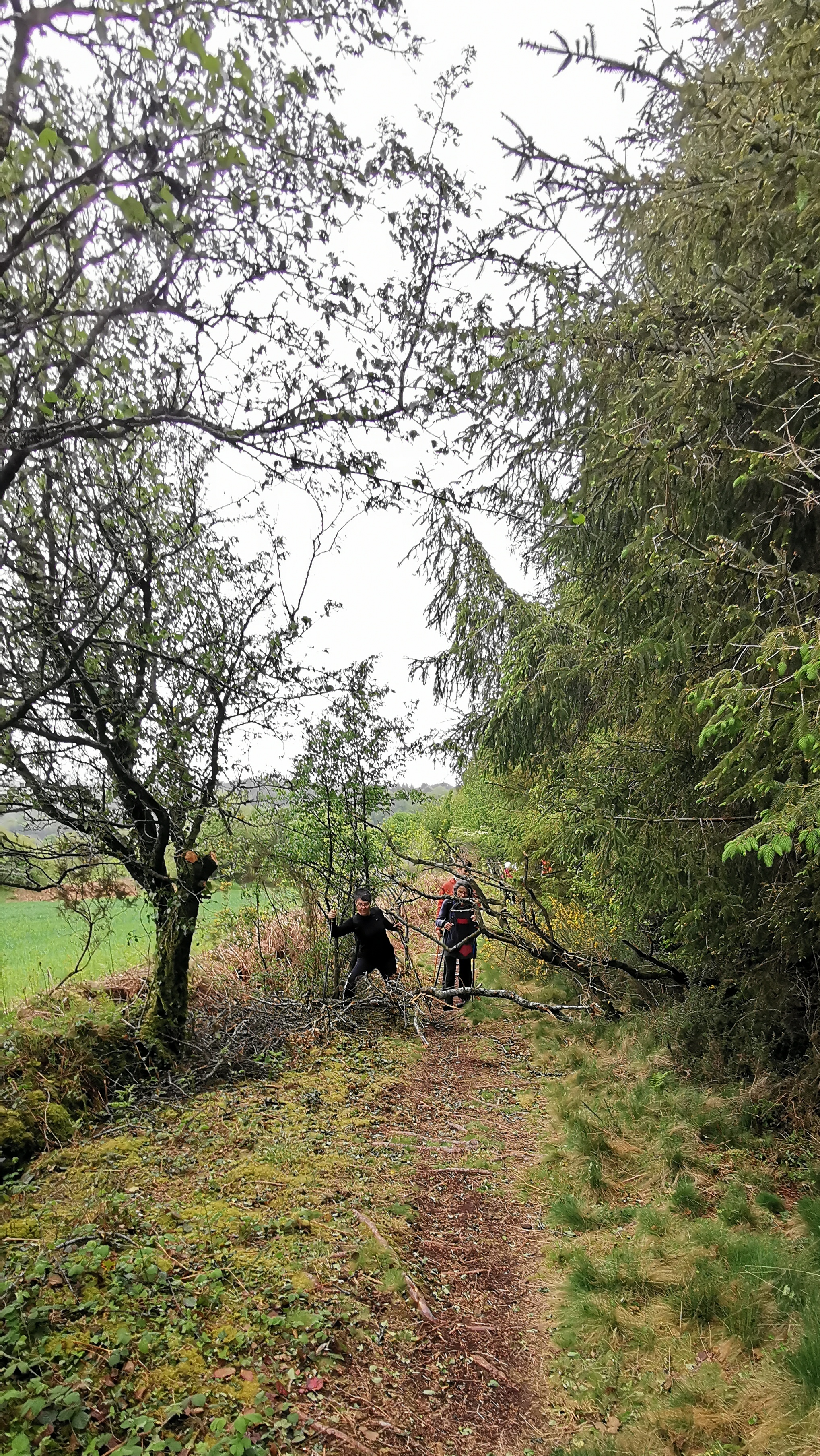 45-IMG_20210508_110351