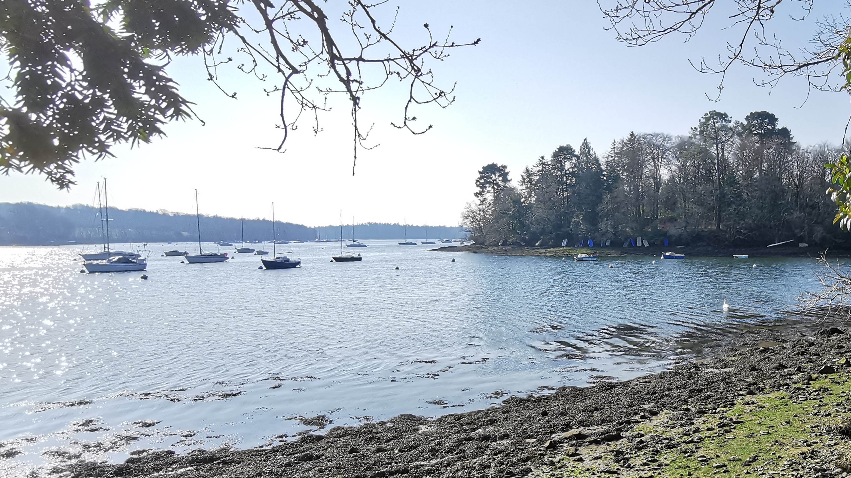 25-IMG_20210308_104302