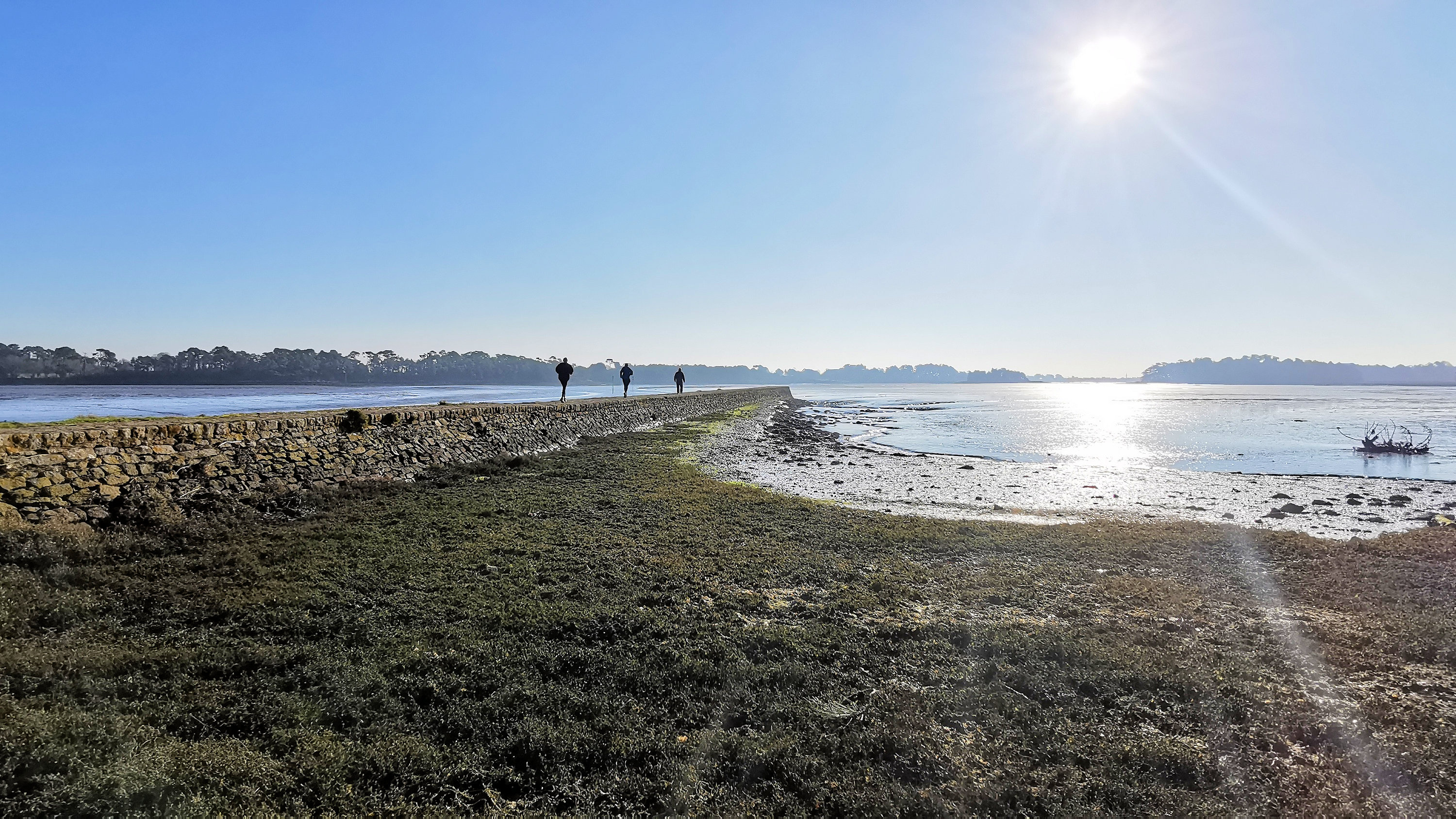 011-IMG_20210228_100143