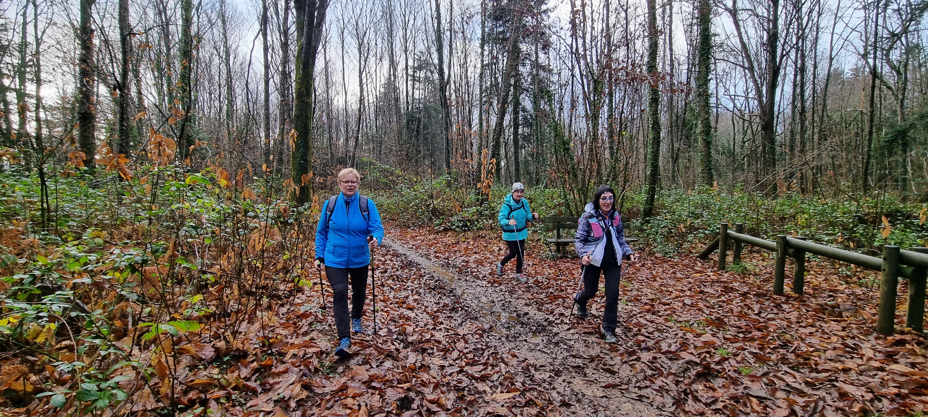 43-20211226_104421(0)