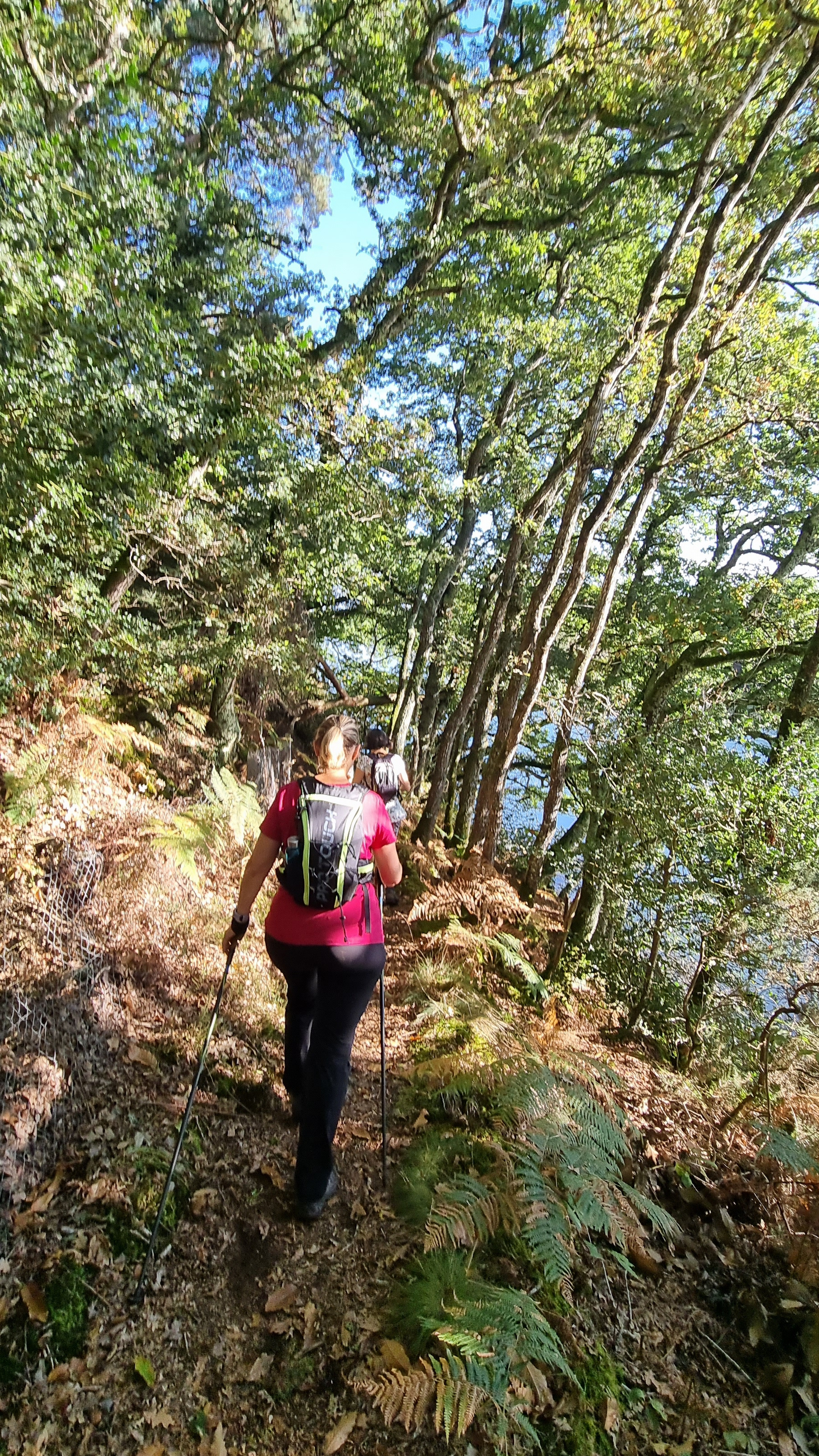 21-20210916_104414(0)