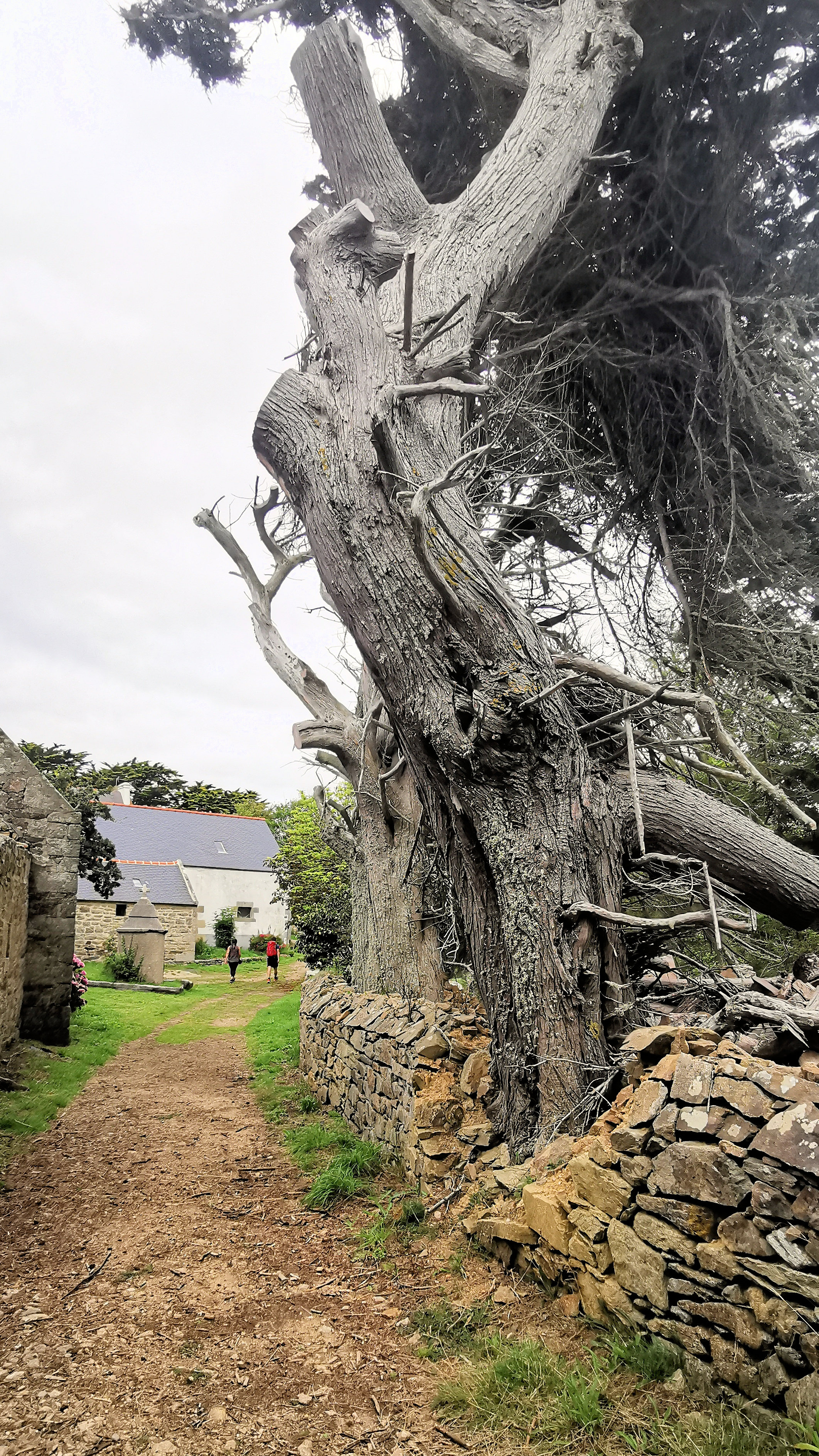 230-IMG_20210815_142311