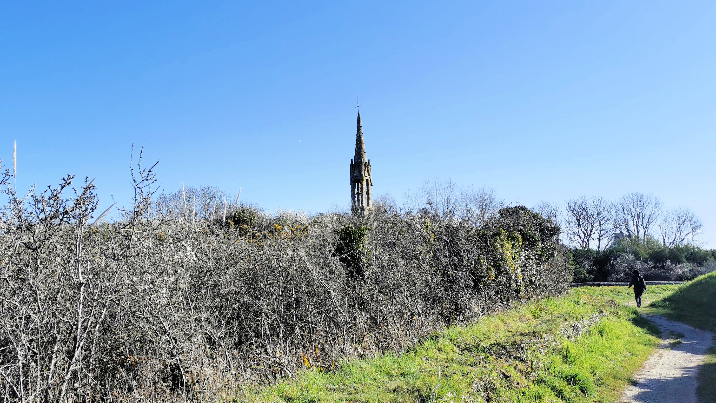 20-IMG_20210403_103140