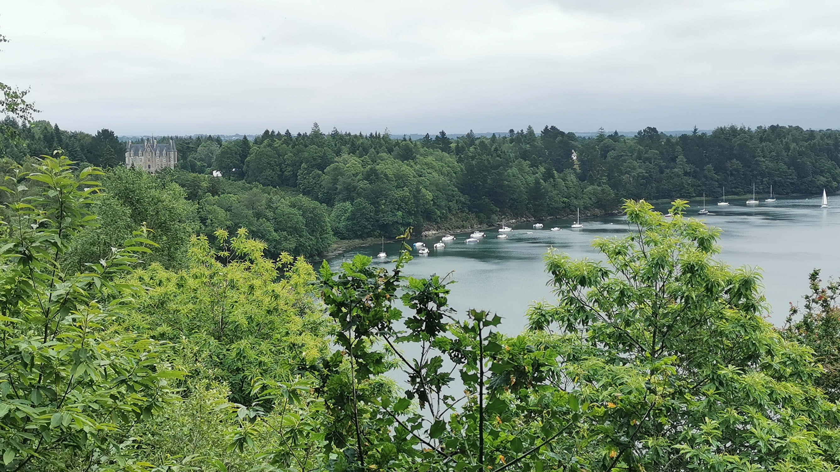 50-IMG_20210617_113513