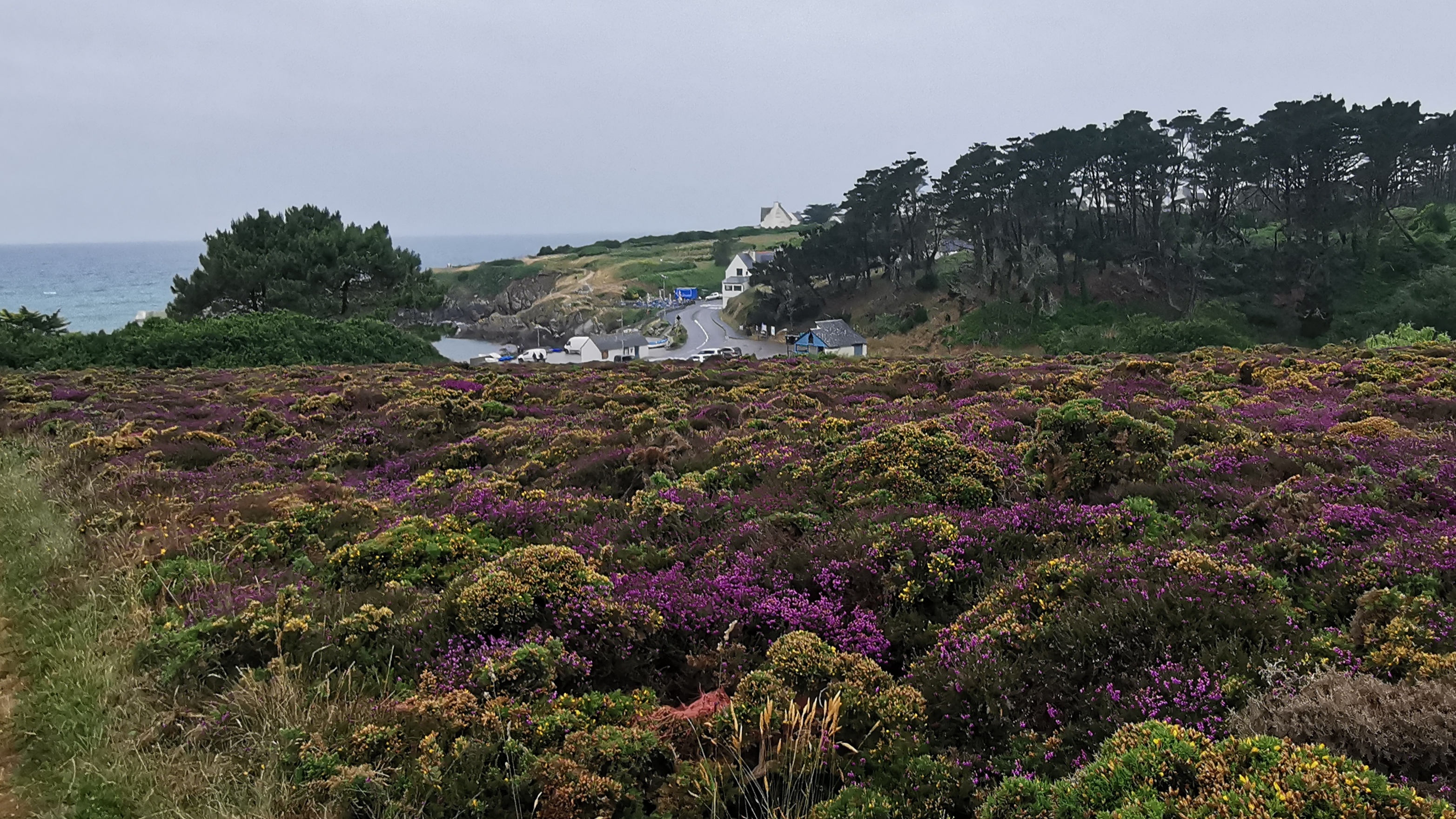 173-IMG_20210620_115025