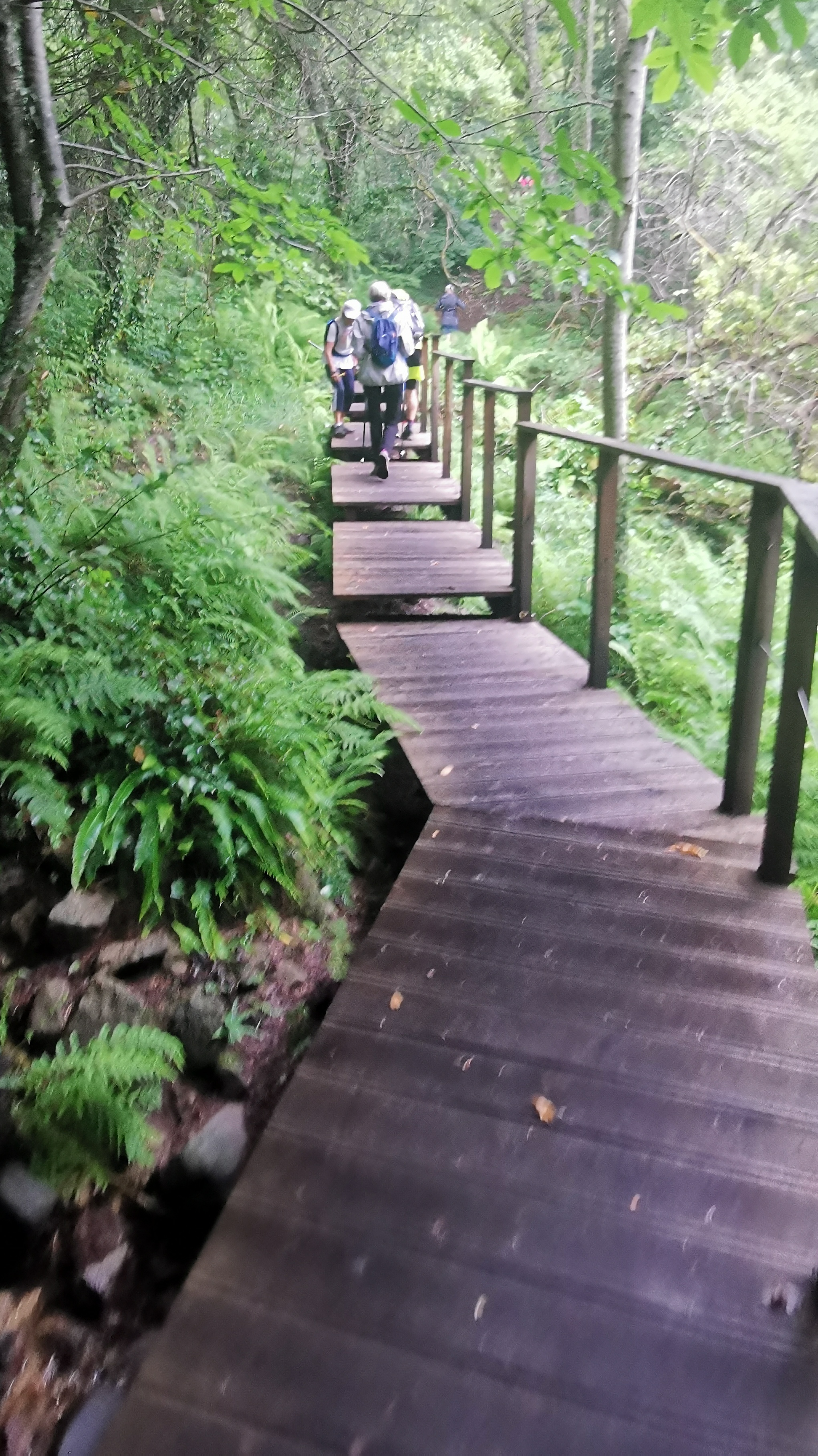 39-IMG_20210617_111034