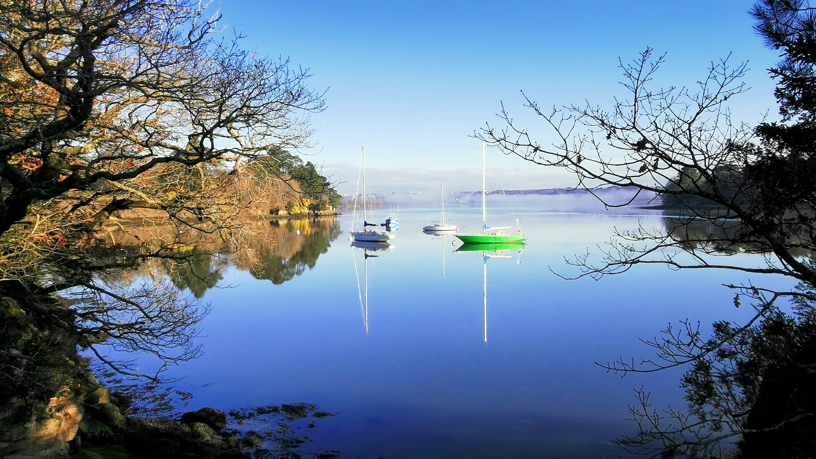 31-IMG_20210207_102354