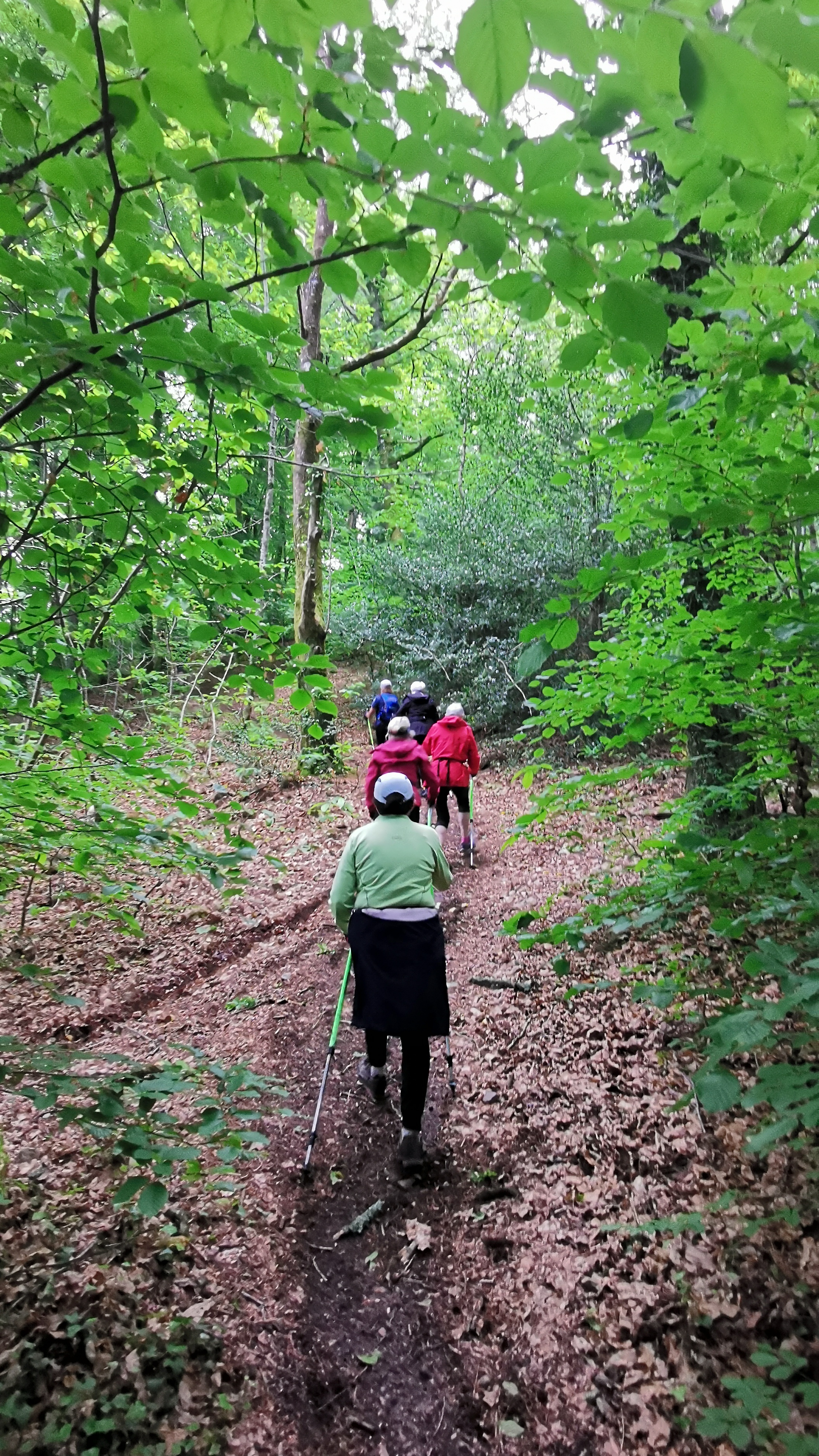 37-IMG_20210525_105235