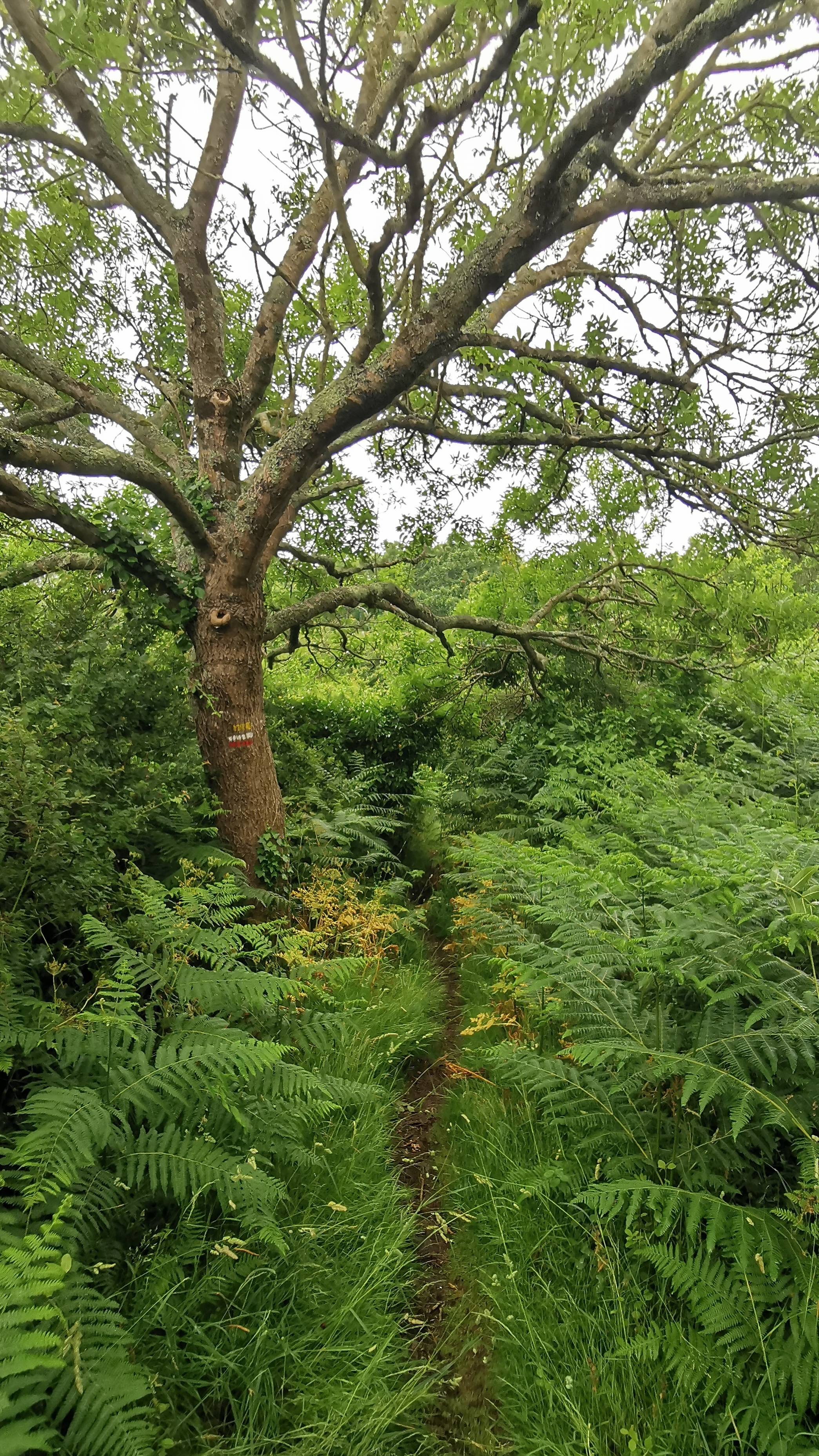 160-IMG_20210620_114528