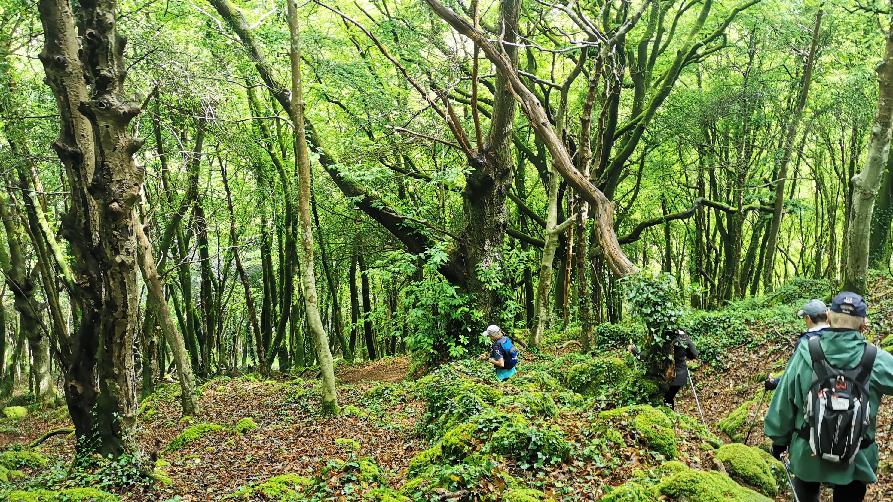 073-IMG_20210513_105105