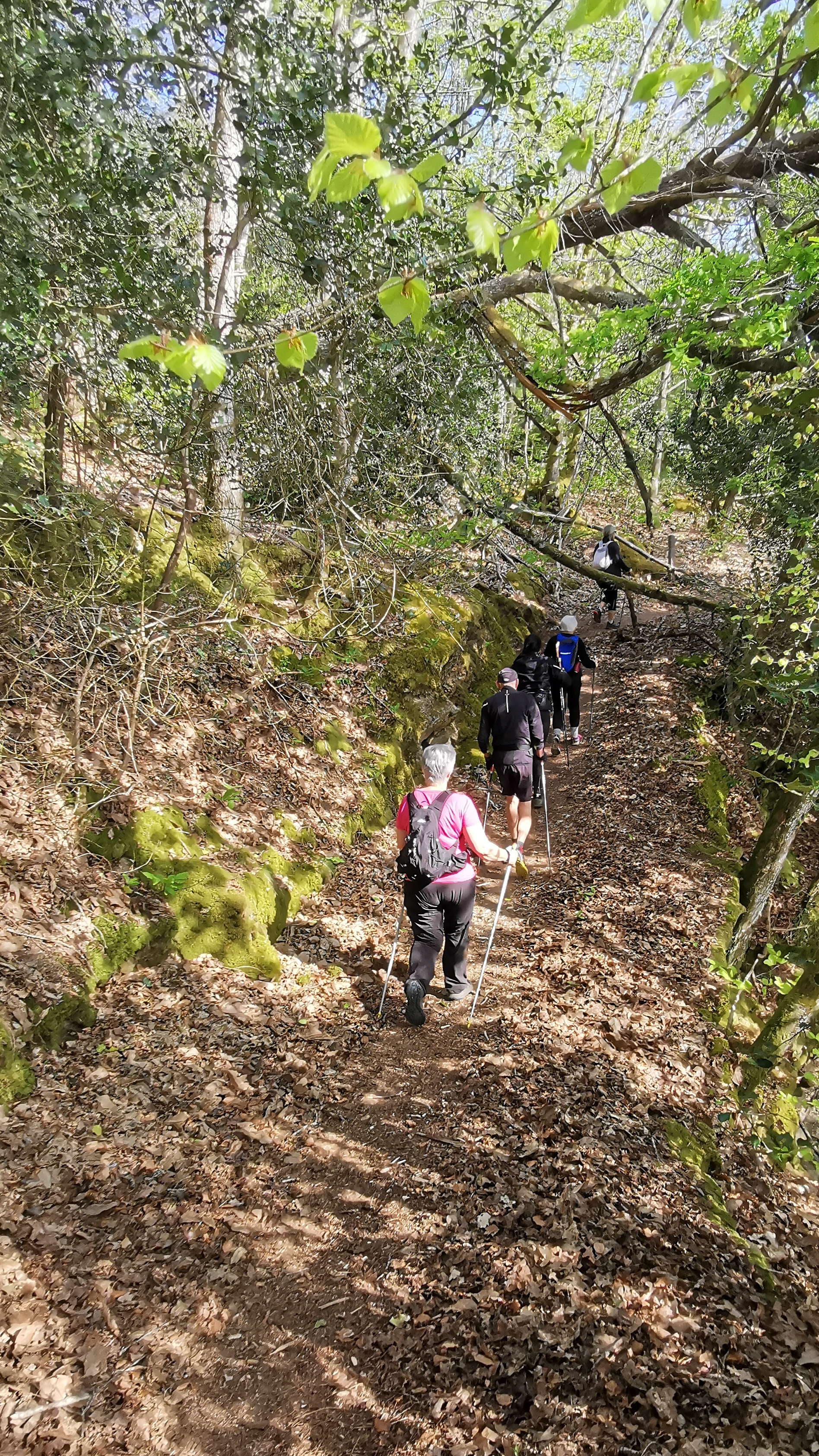 27-IMG_20210425_103753