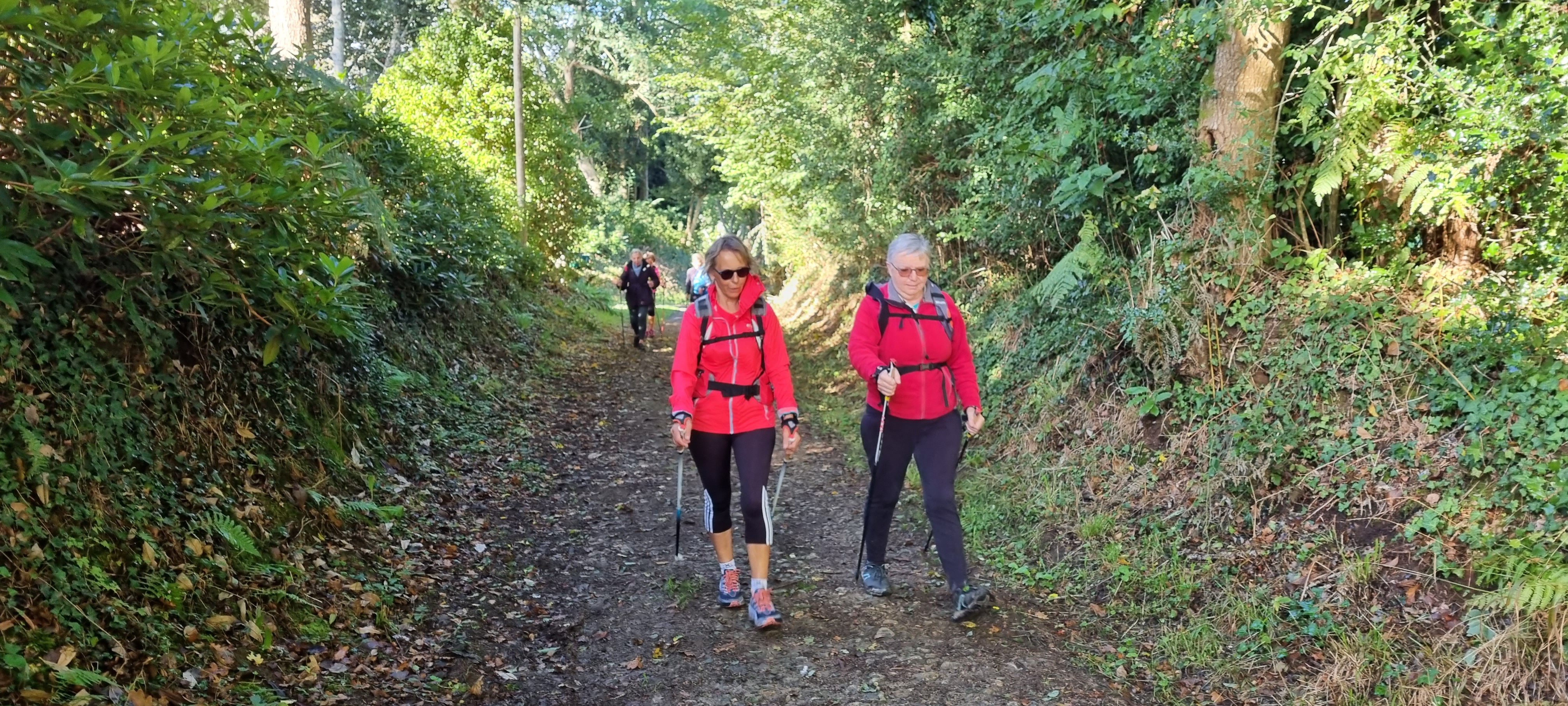 16-20211004_103738(0)