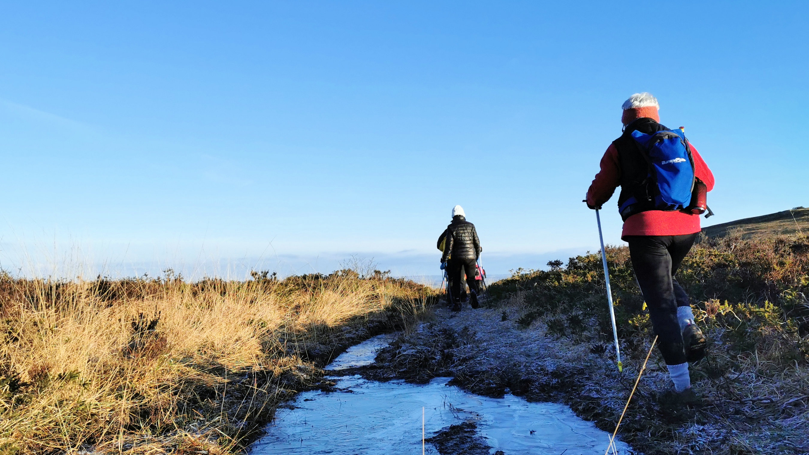 031-IMG_20210110_101453