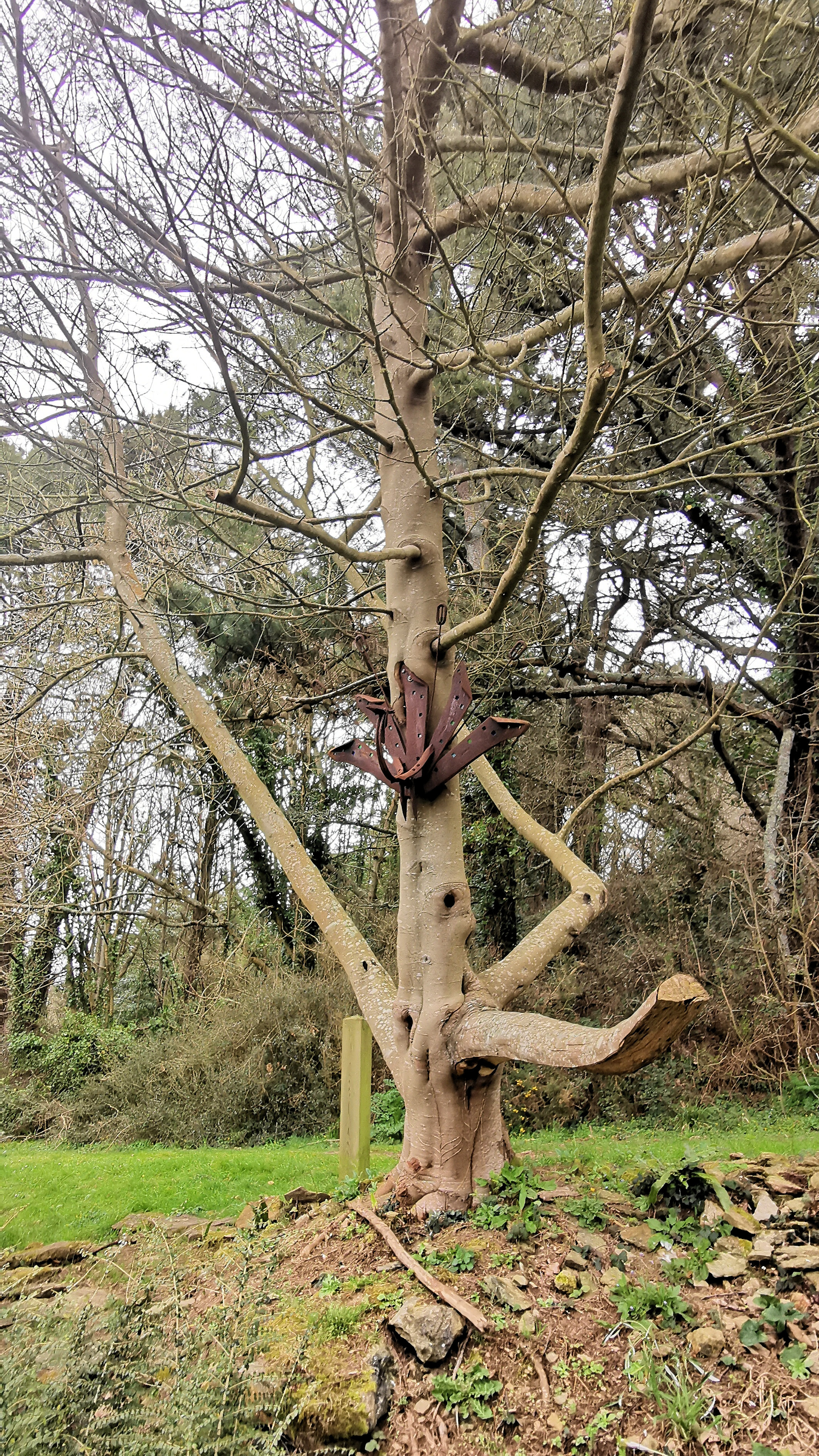 45-IMG_20210321_102152