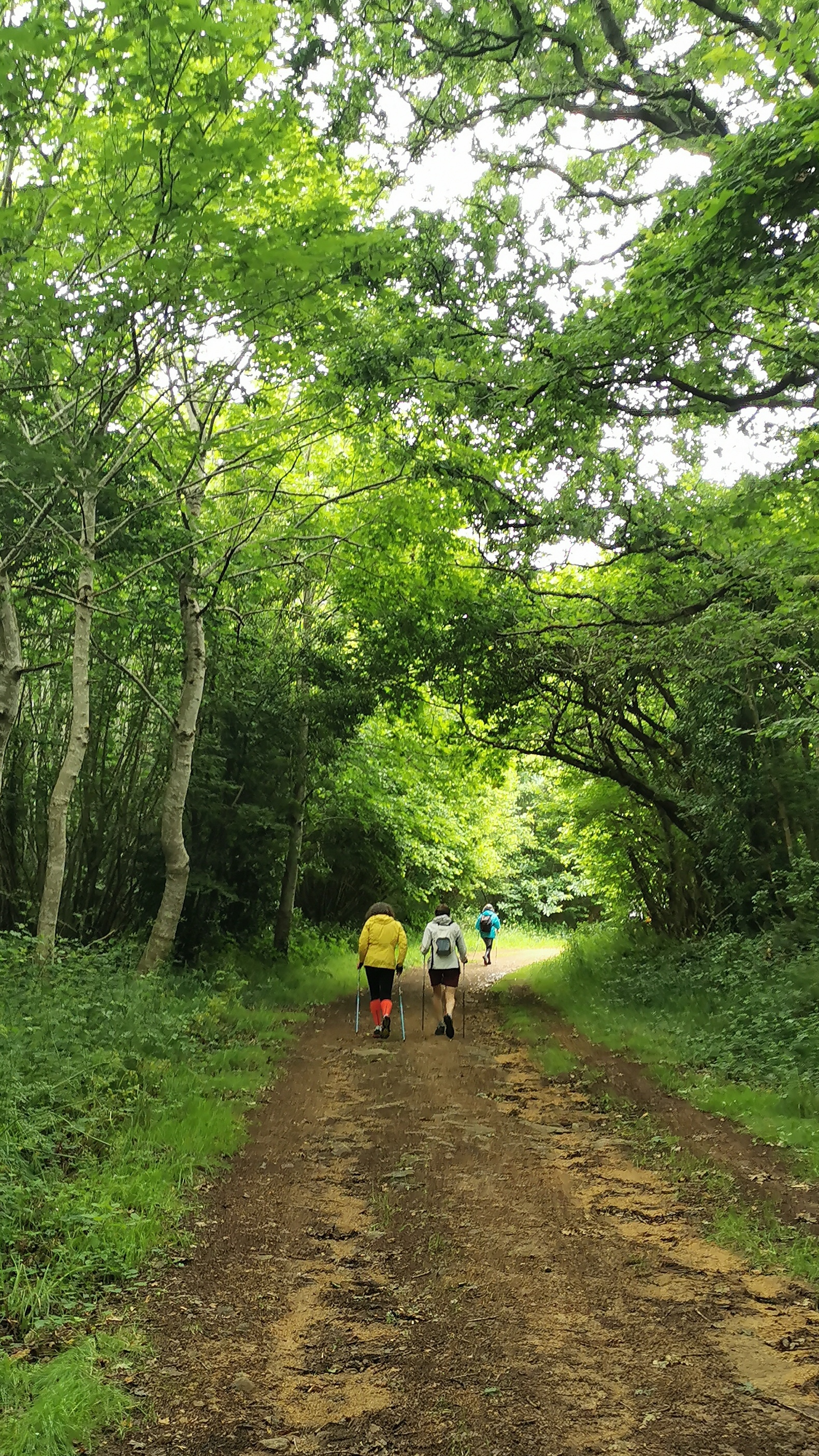 139-IMG_20210620_112125