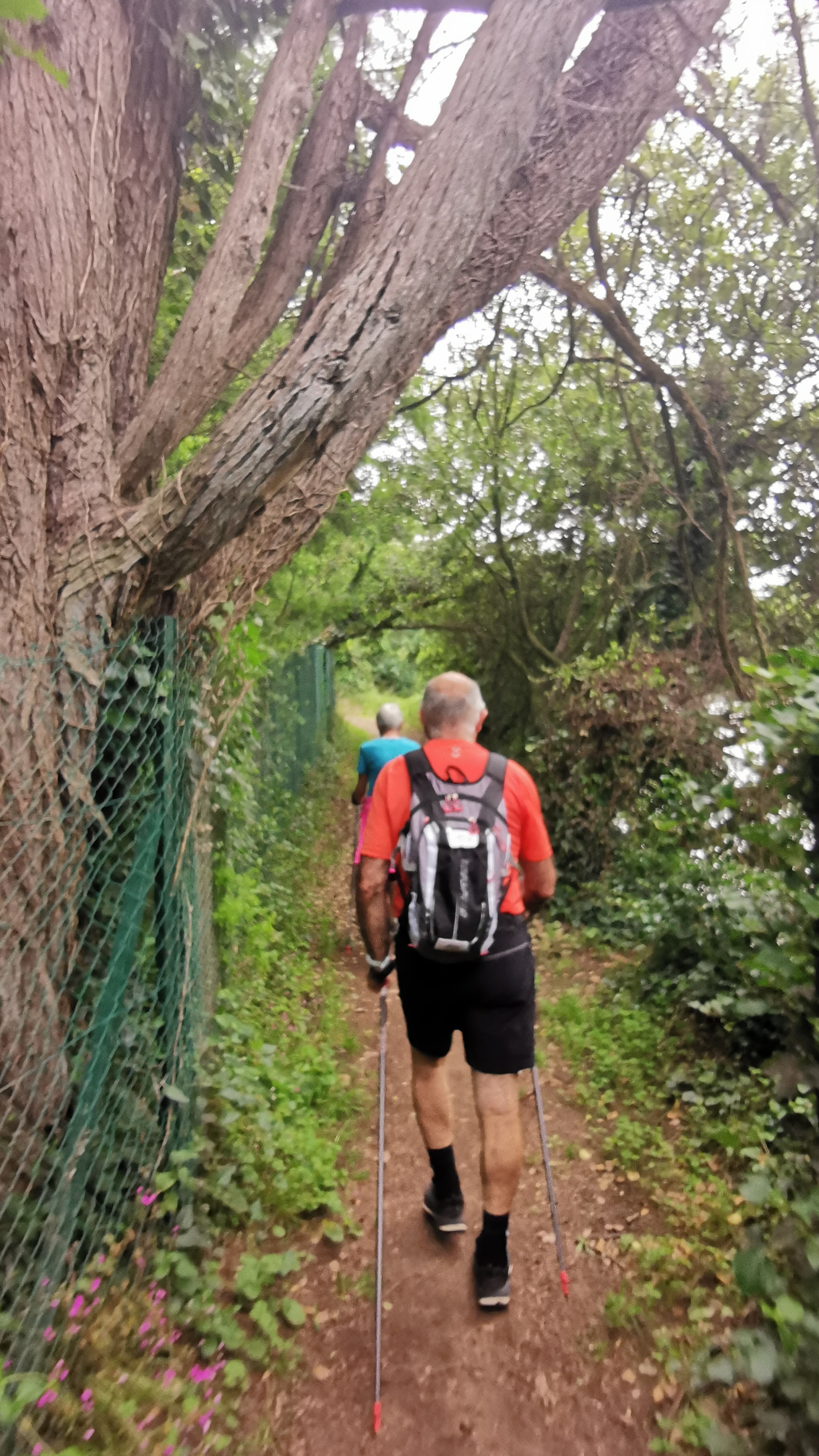 087-IMG_20210606_111849