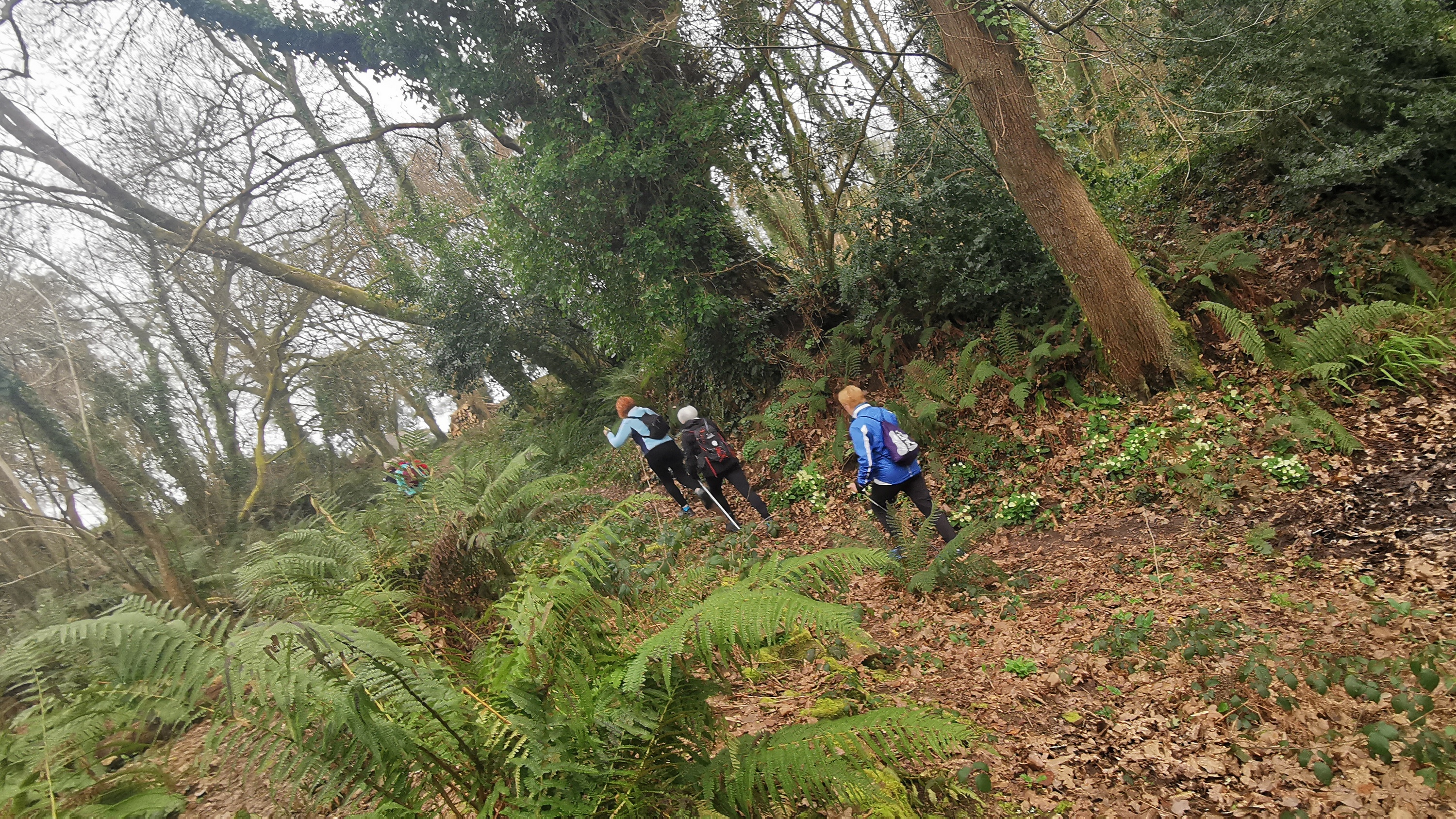 31-IMG_20210304_103938