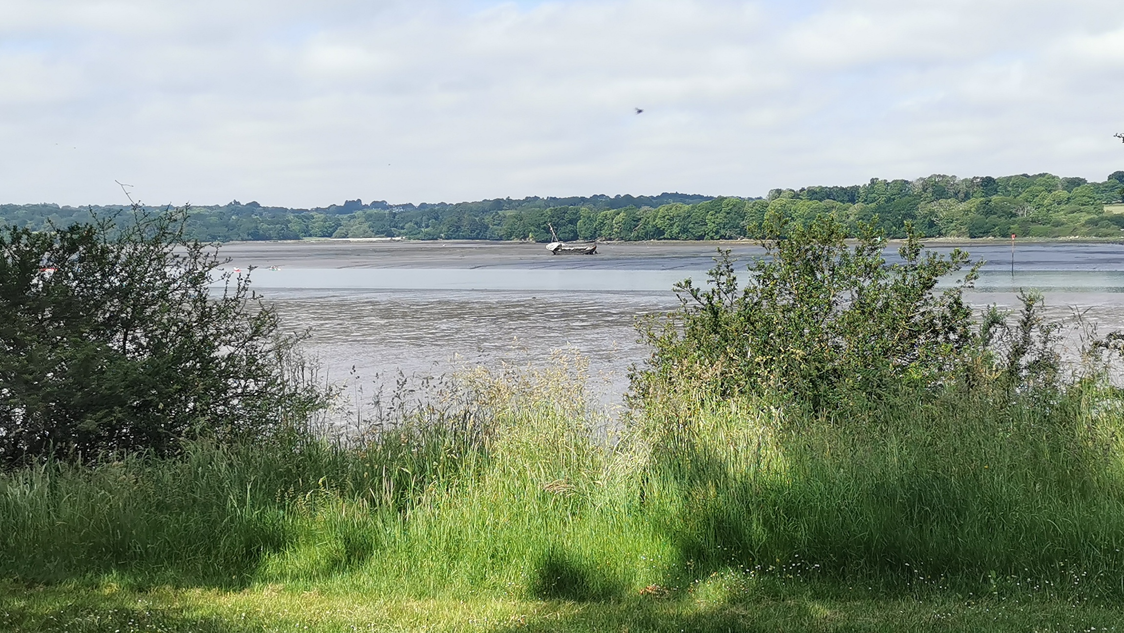 19-IMG_20210608_105854