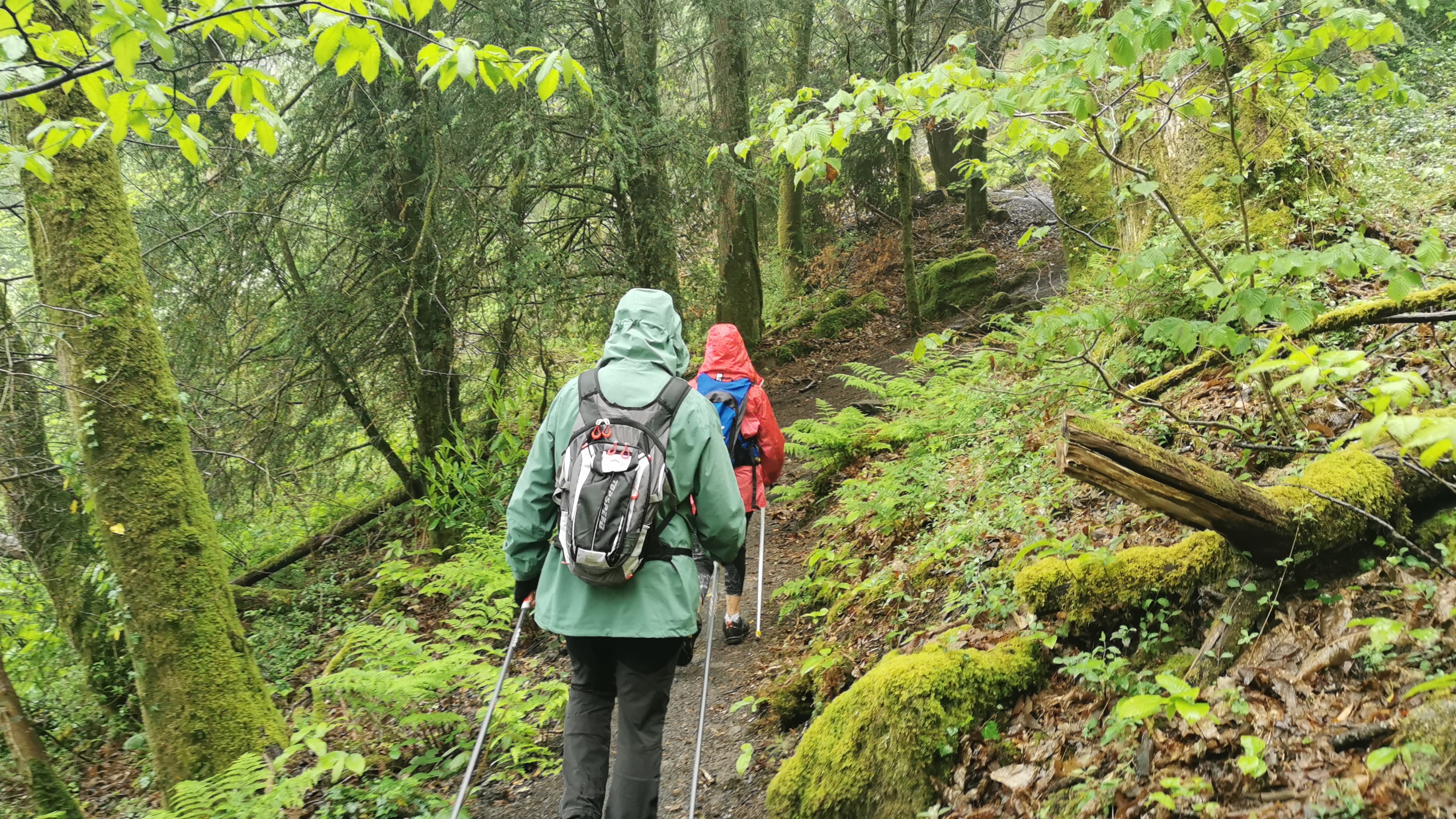 004-IMG_20210513_094018