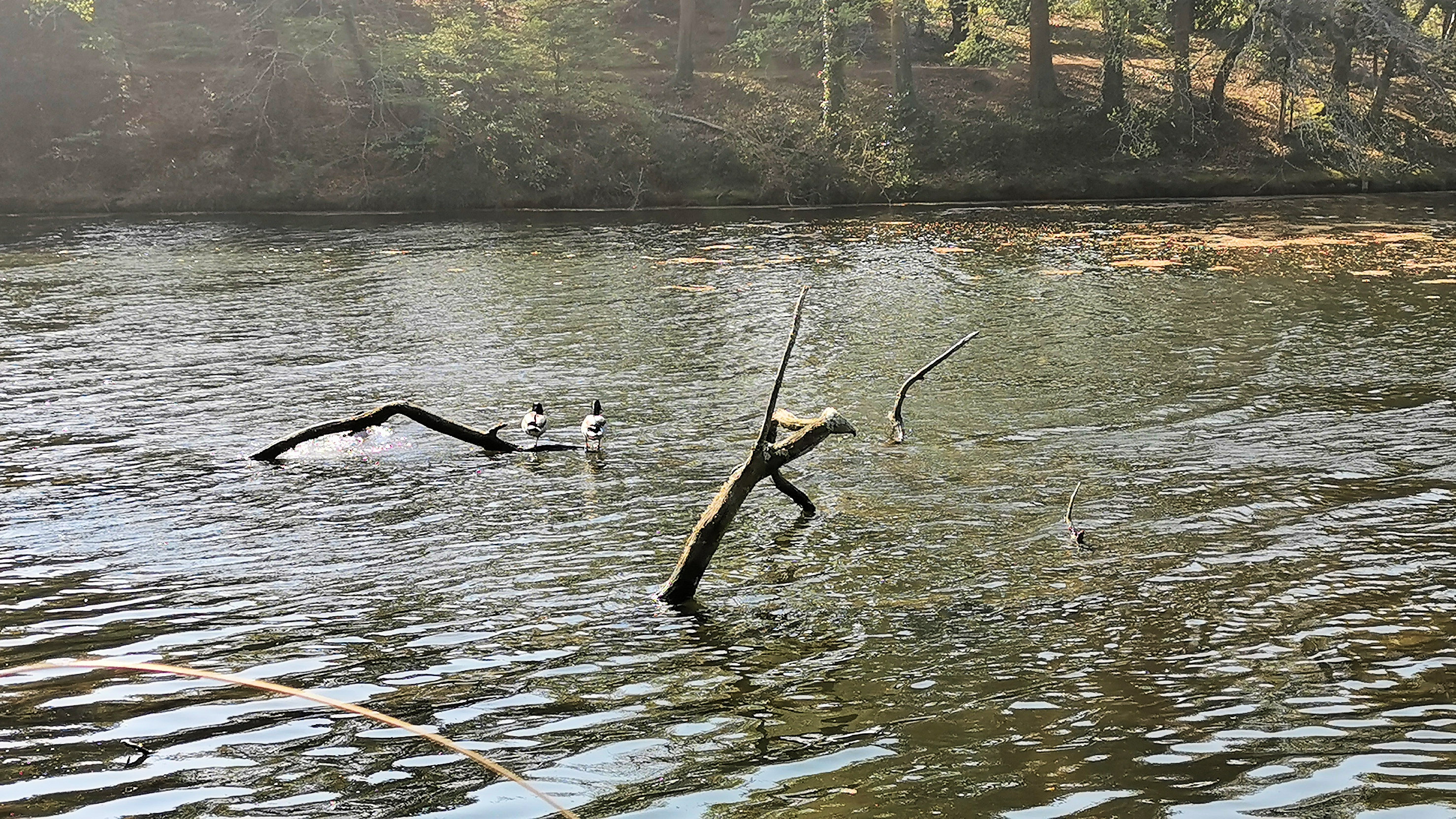 42-IMG_20210422_110855