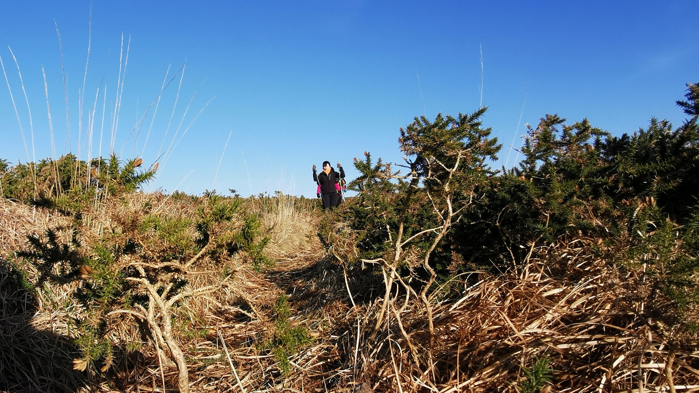 139-IMG_20210110_113022