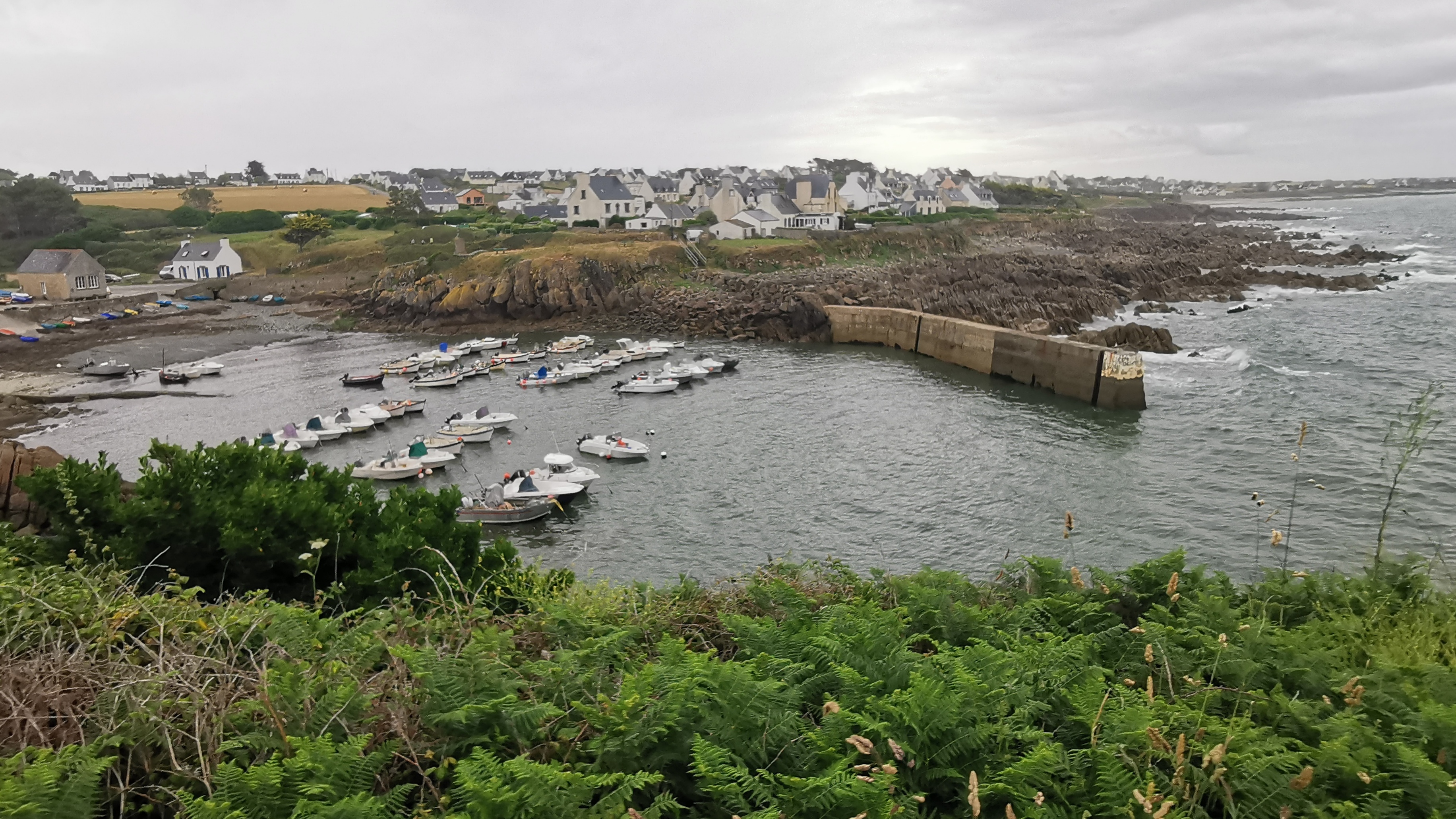 005-IMG_20210620_093958