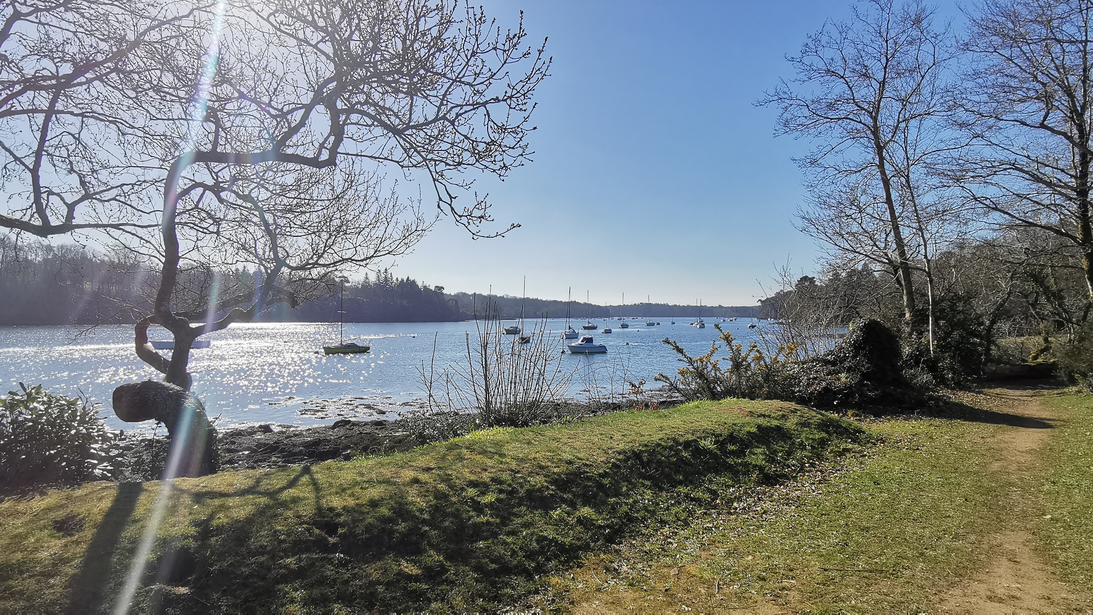 20-IMG_20210320_102830