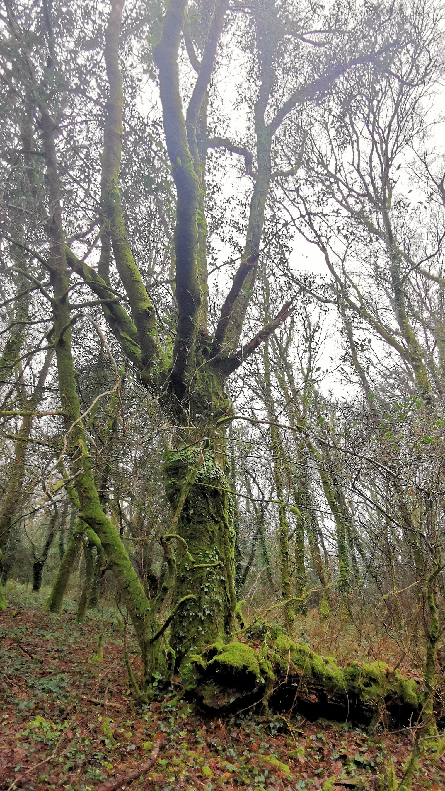 47-IMG_20210121_104528