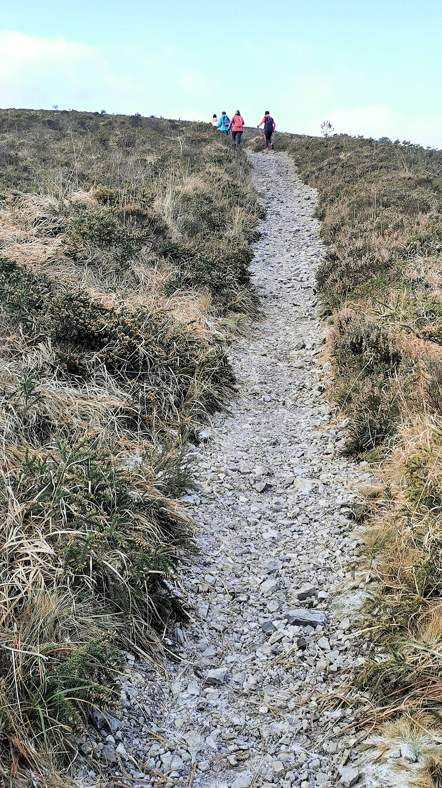 107-IMG_20210110_110729_1