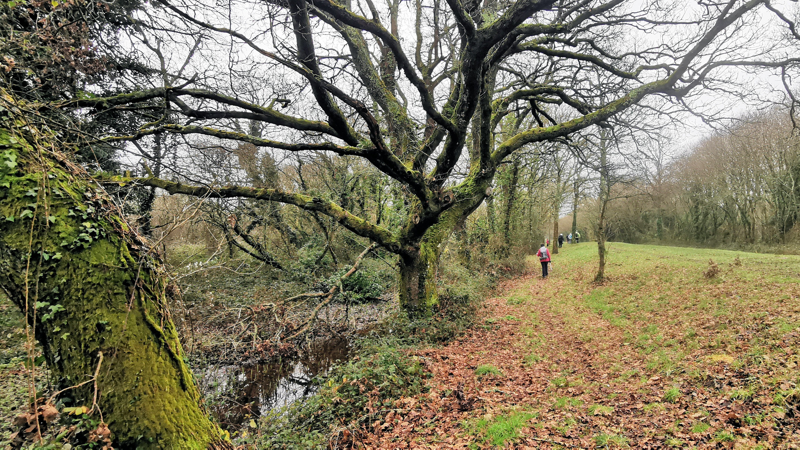 02-IMG_20210118_095316