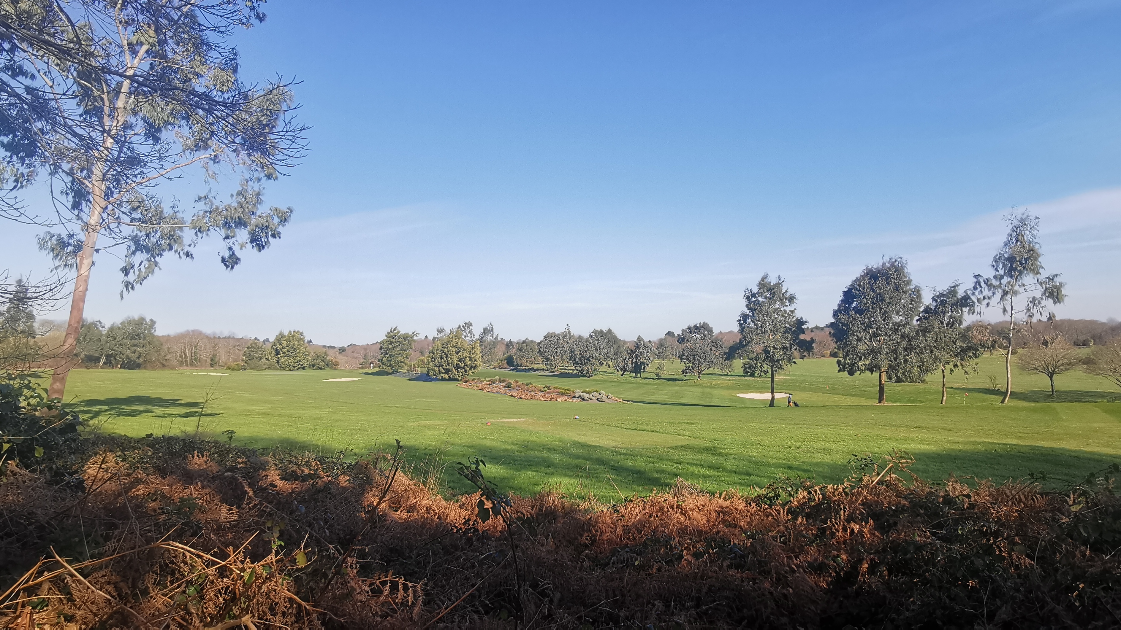 23-IMG_20210318_101349