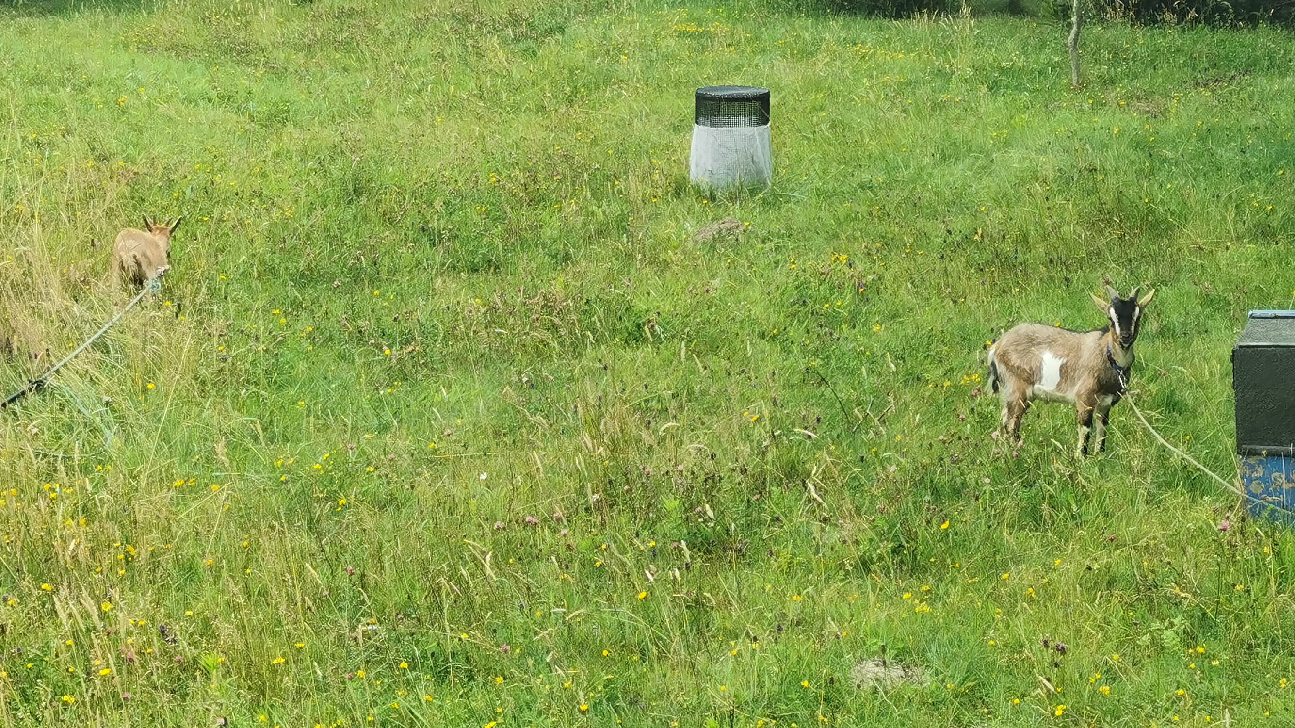 41-IMG_20210711_105514